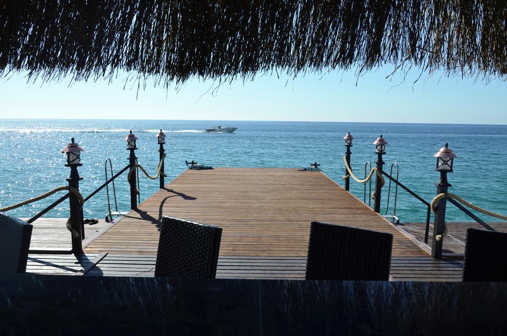 Emelda Sun Club