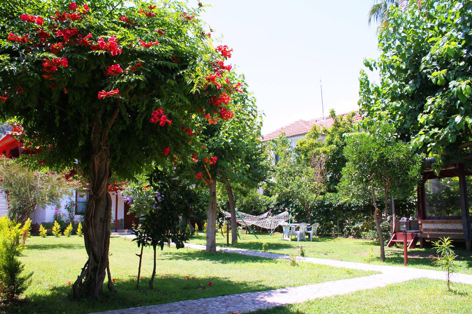 Alican Pension