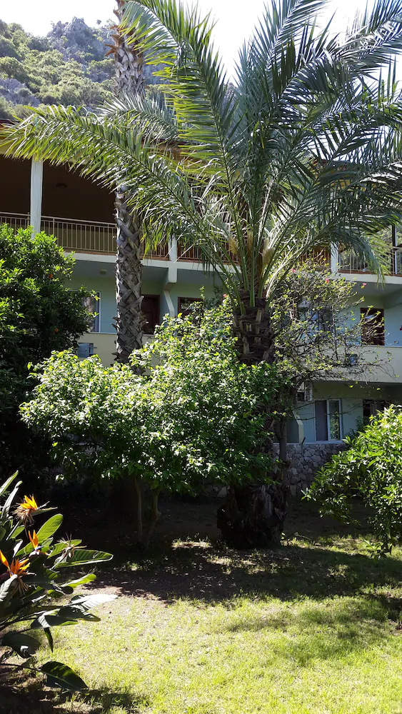 Cirali Hotel