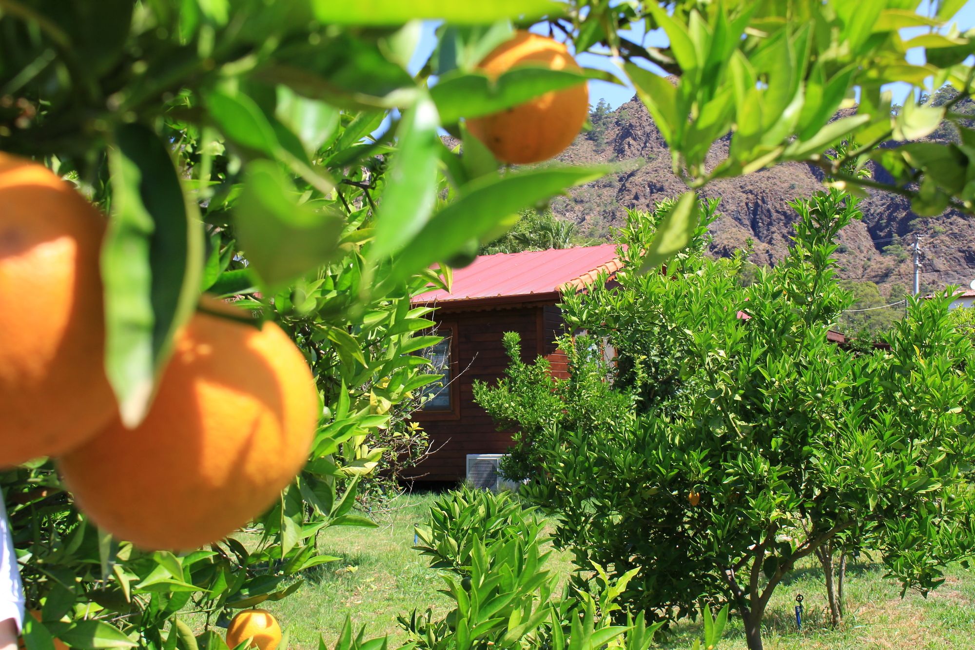 Ikiz Villas