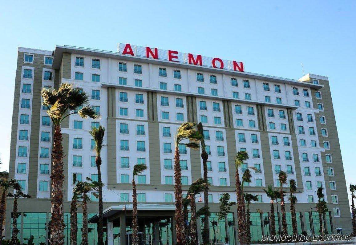 Anemon Iskenderun