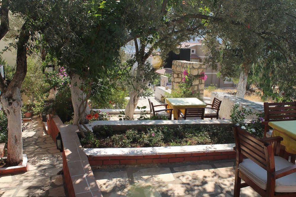 Lizo Hotel