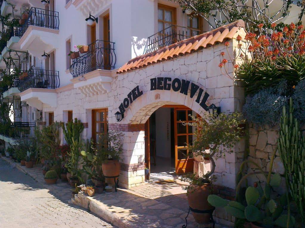 Begonvil