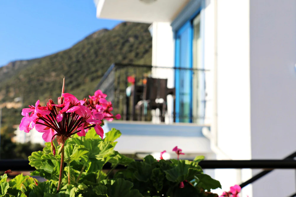 Carpediem Suite Hotel