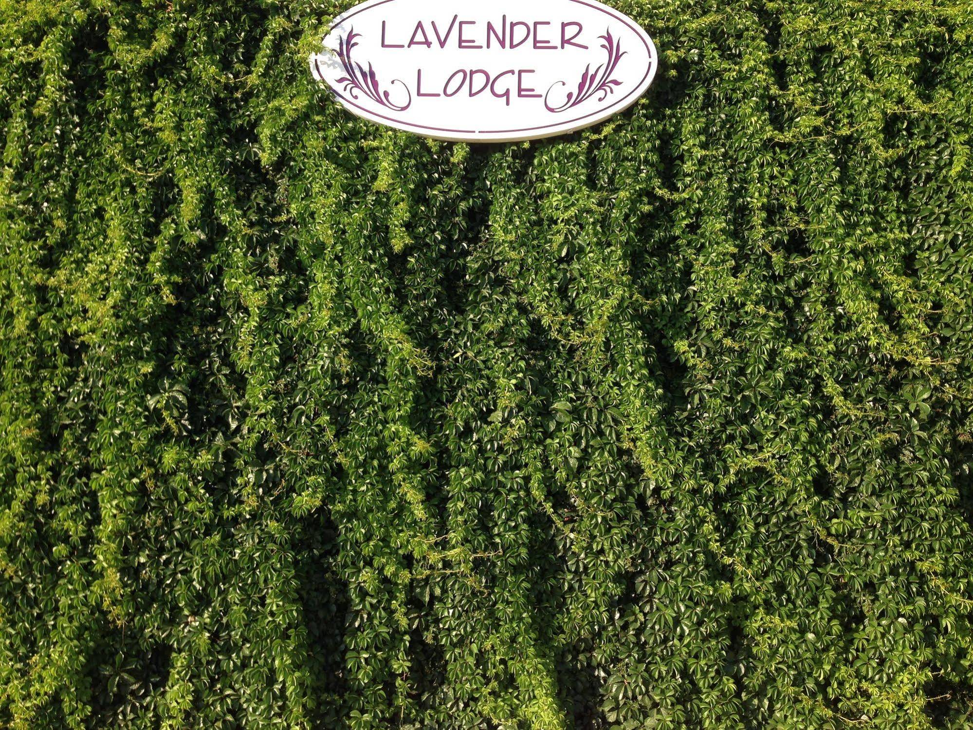 Lavender's Lodge Otel