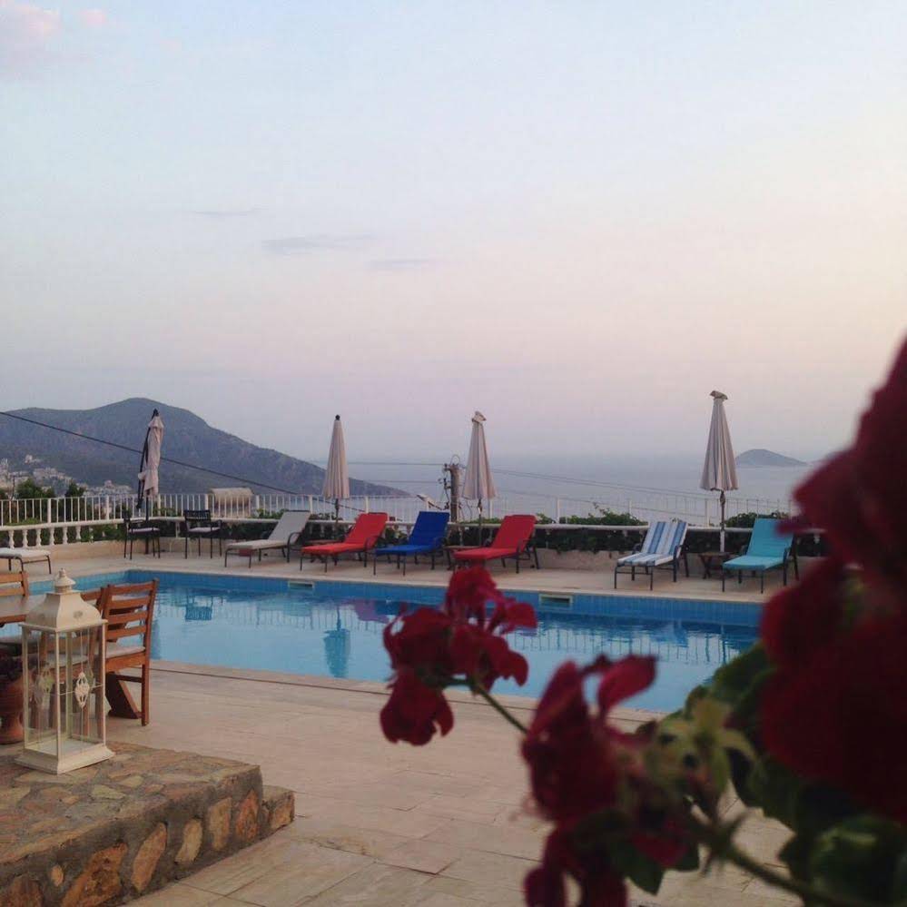 Lavender's Lodge Otel
