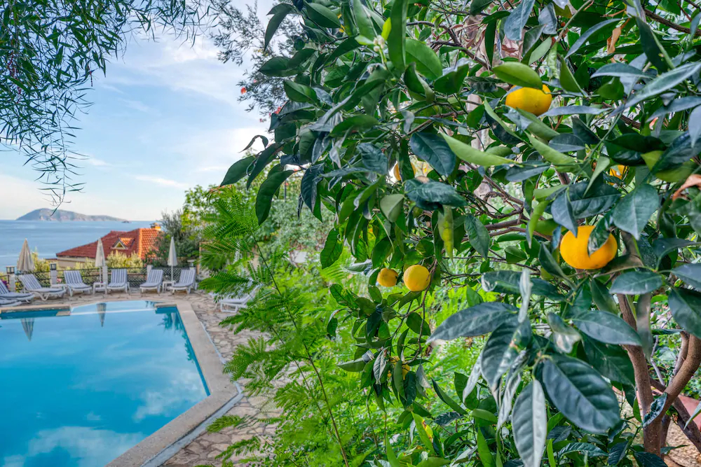 Villa Lycia