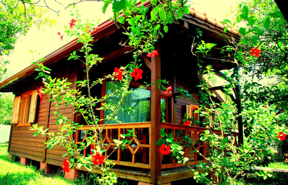 Baraka House