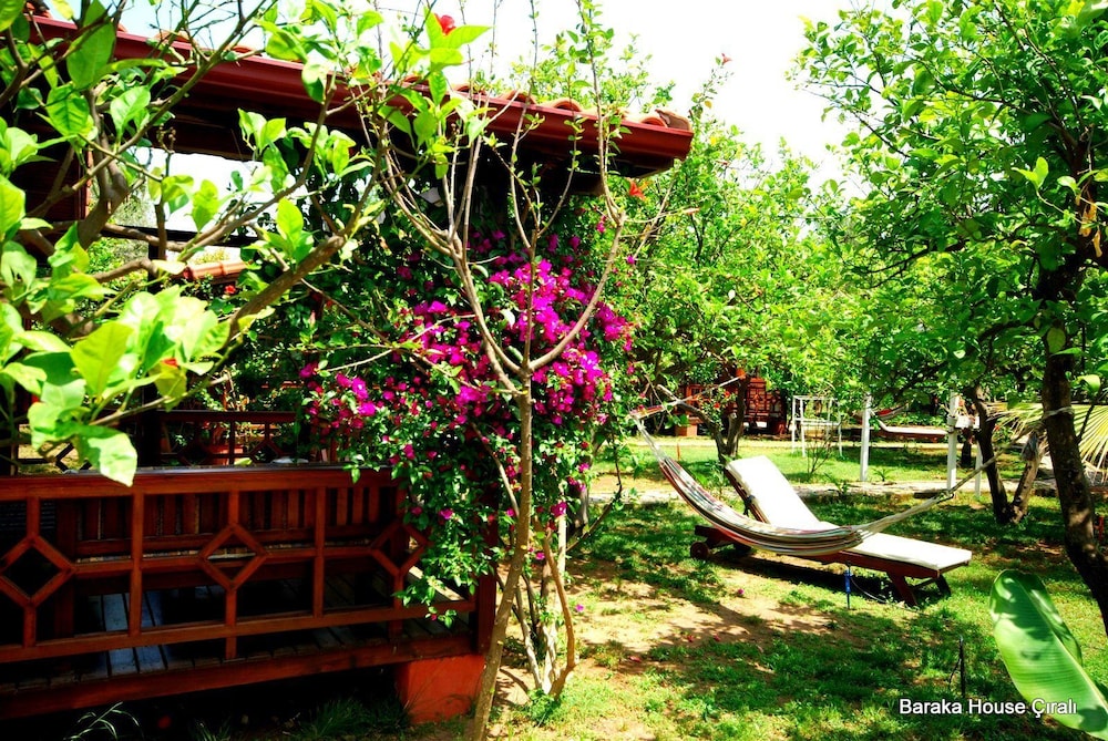 Baraka House