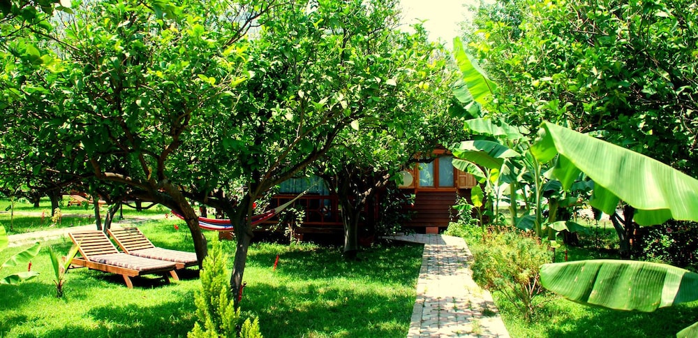 Baraka House