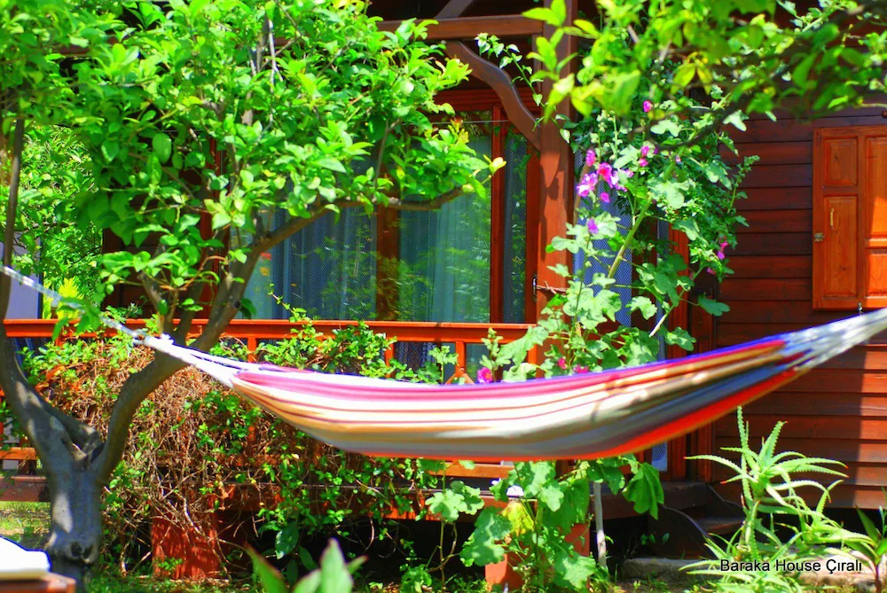 Baraka House