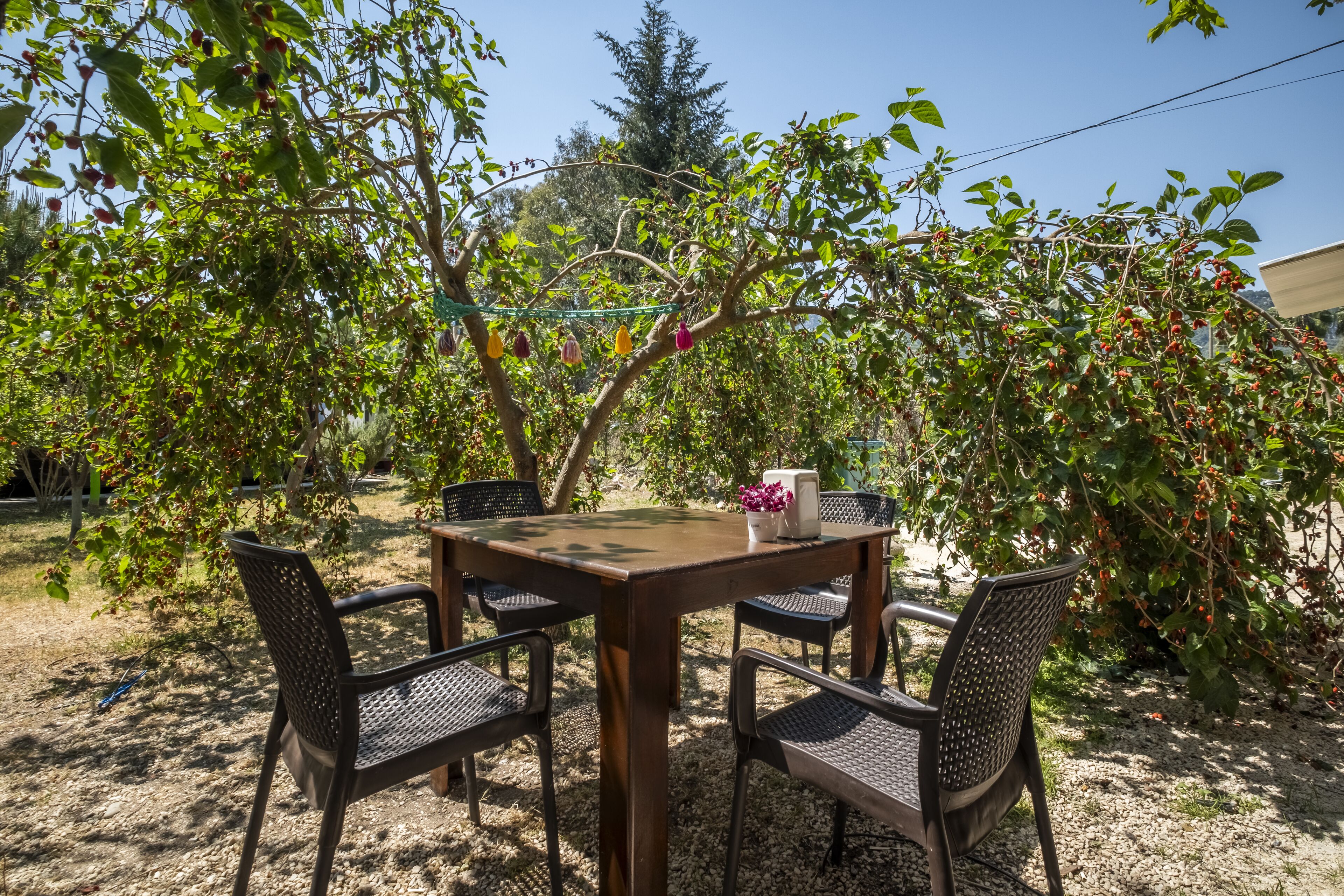 Cirali La Maison Hotel