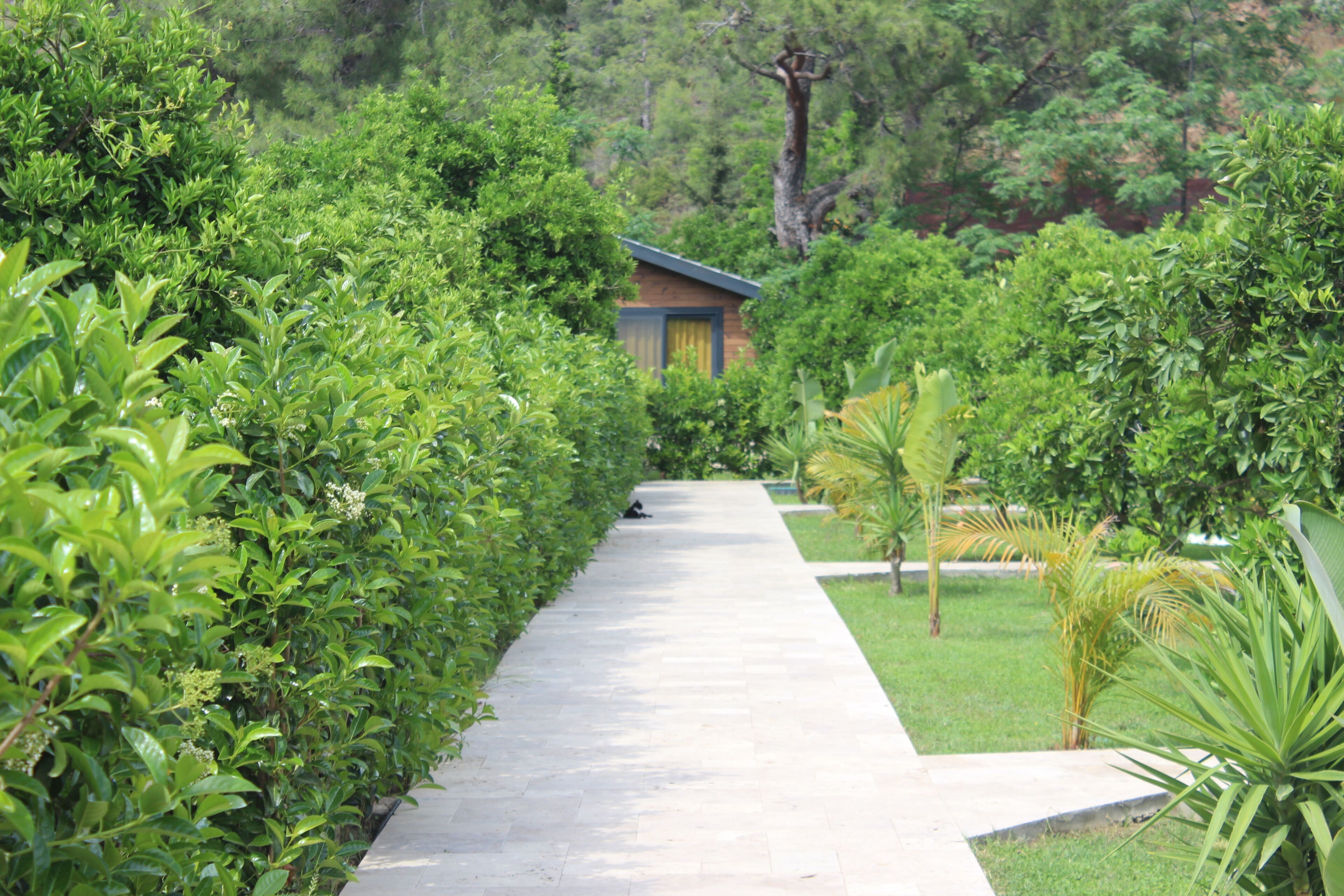 Cirali Villas Hotel Pansiyon