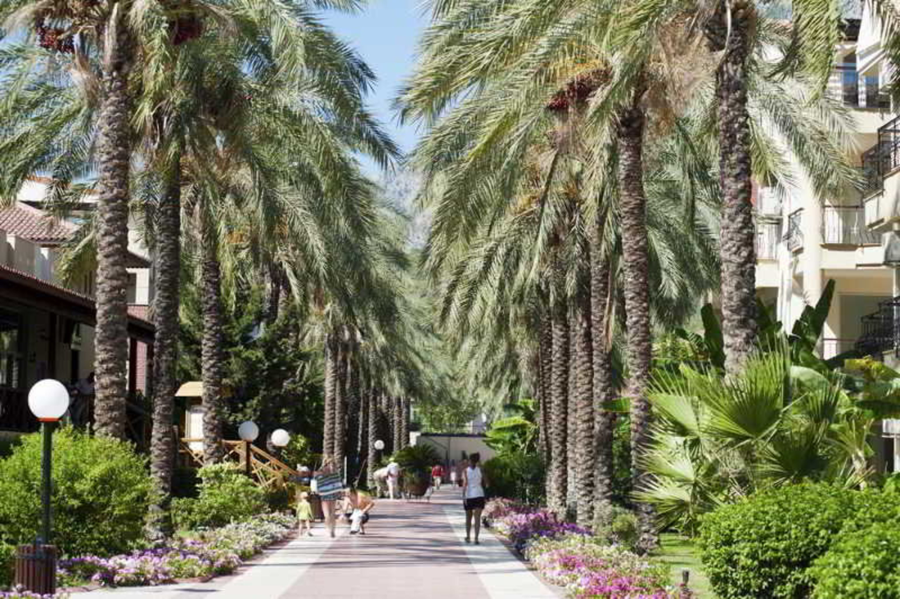 Crystal Aura Beach Resort & Spa