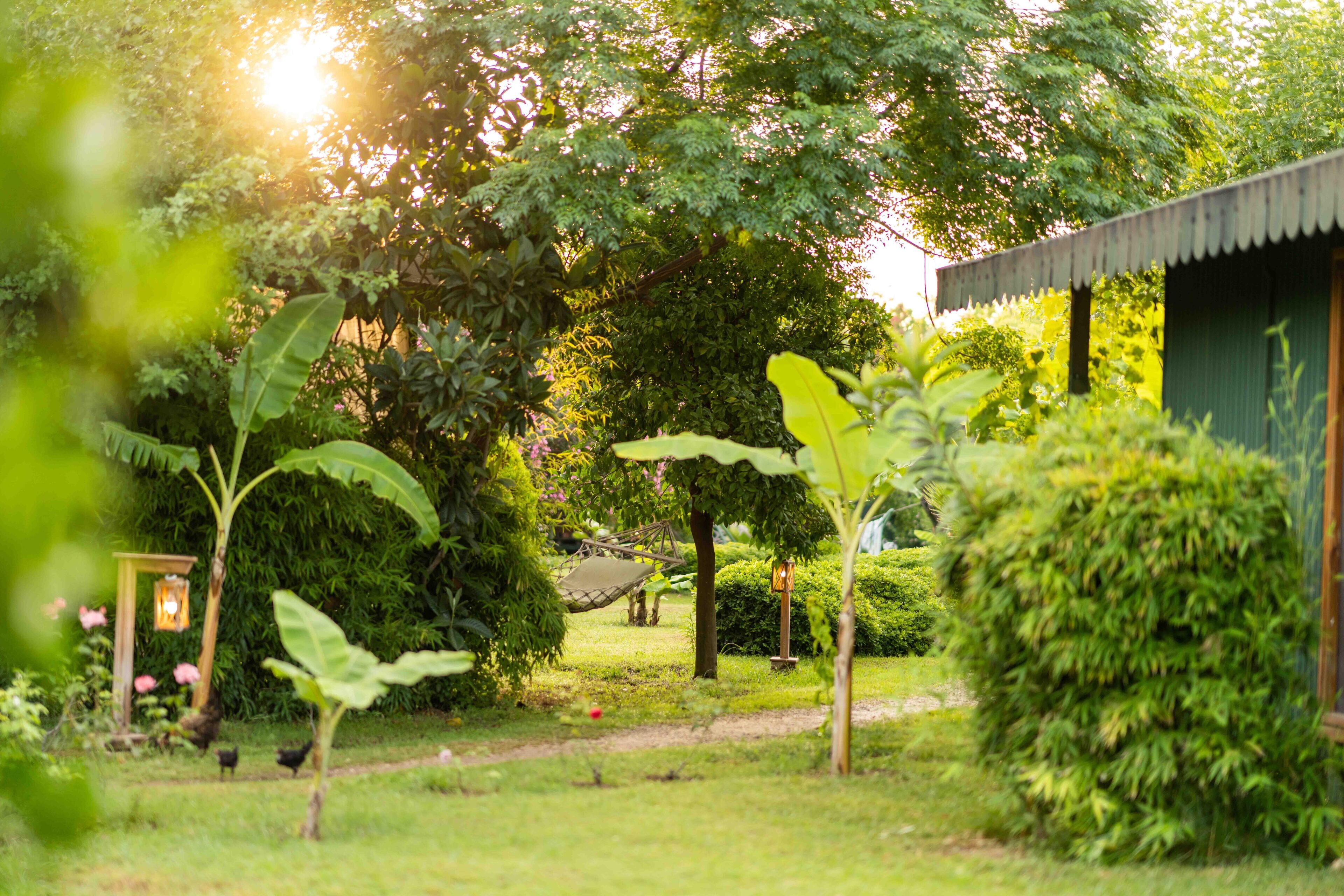 Etenna Beach Bungalows
