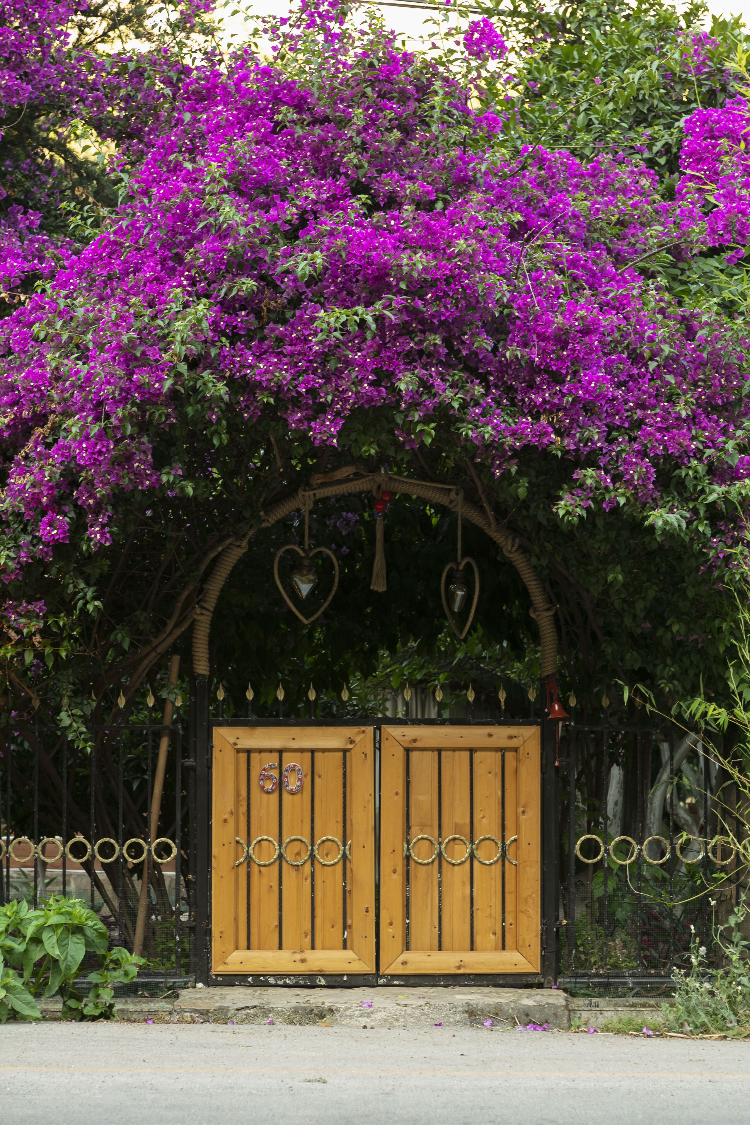GAYB-î Bungalows by Naturelife