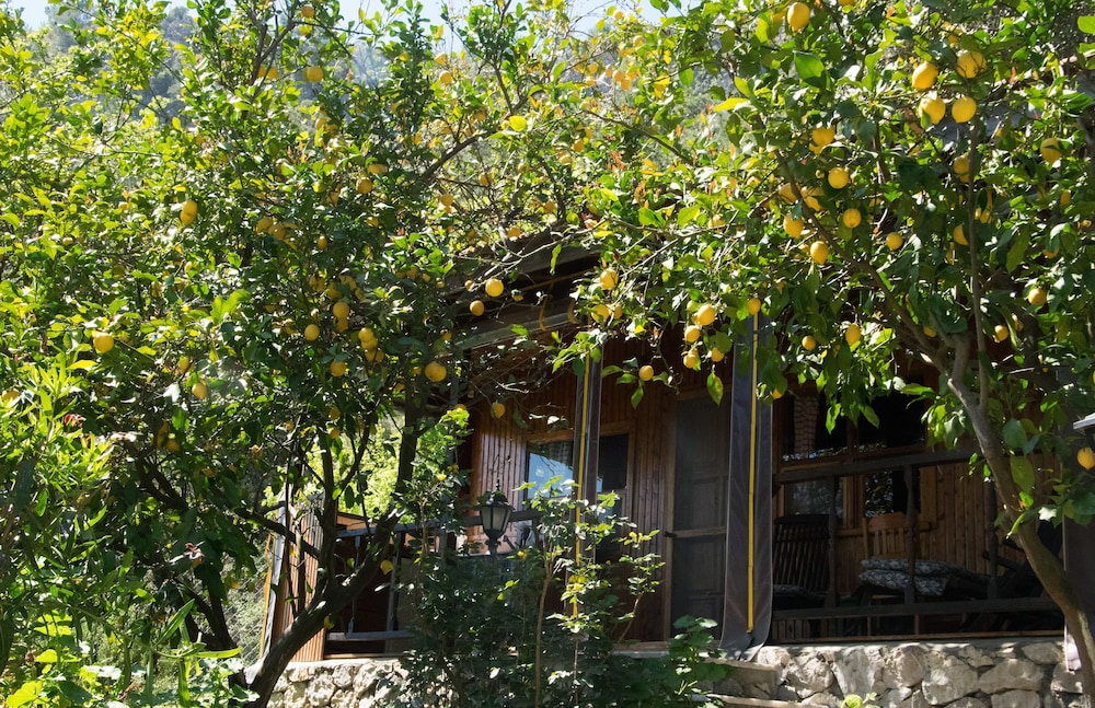 Kairos Bungalows