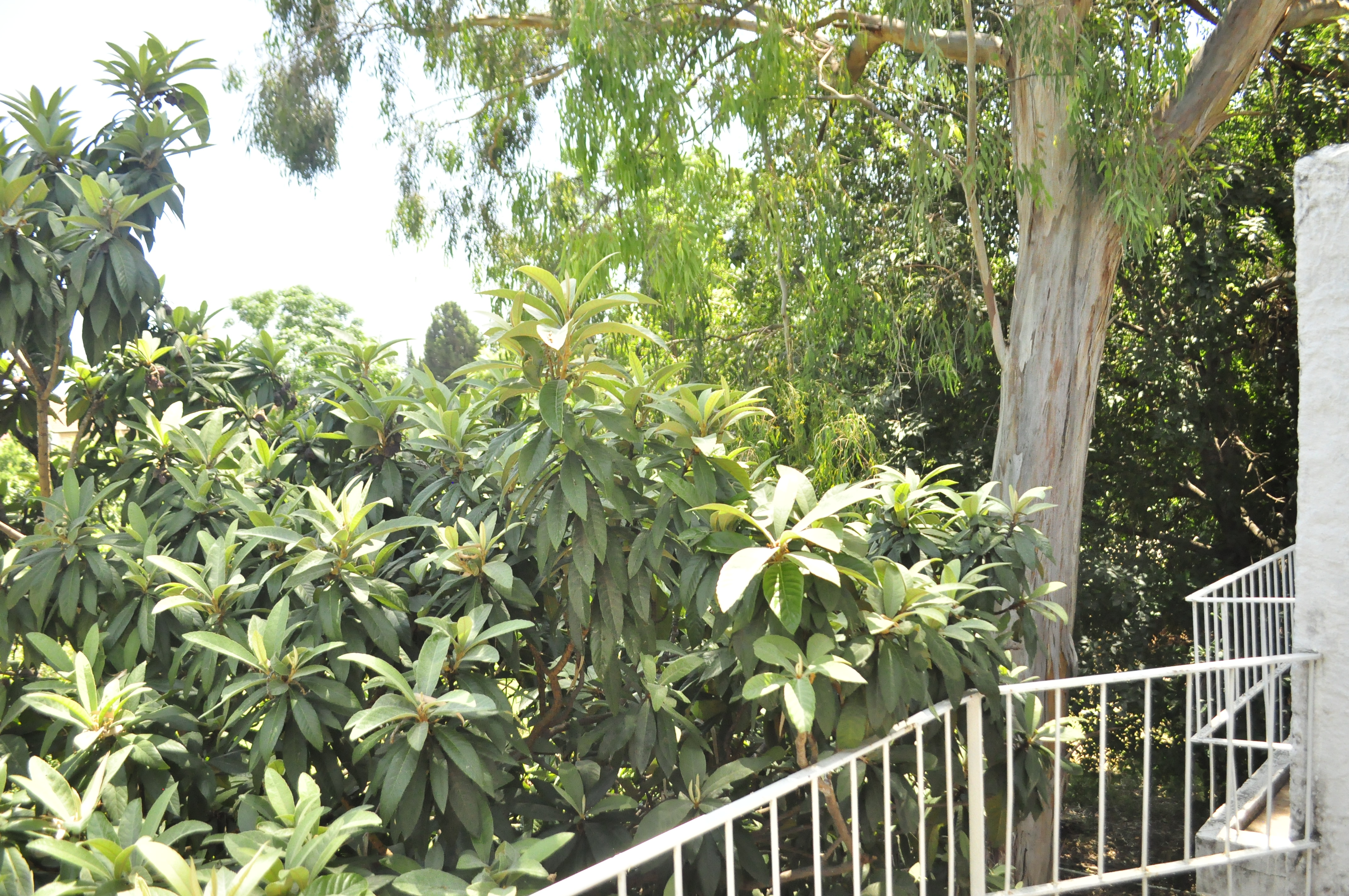 Kemer Park Hotel