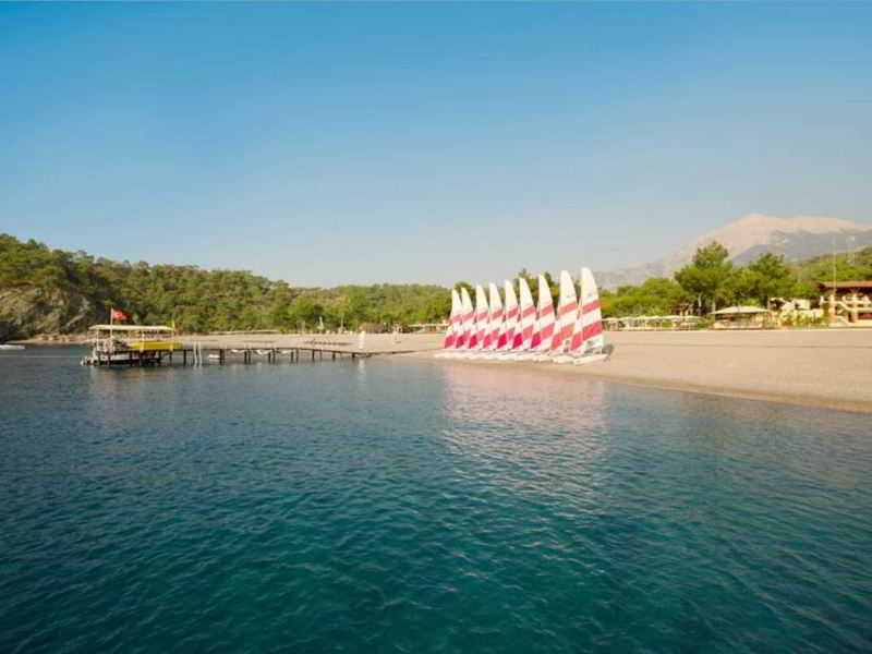 ROBINSON Camyuva