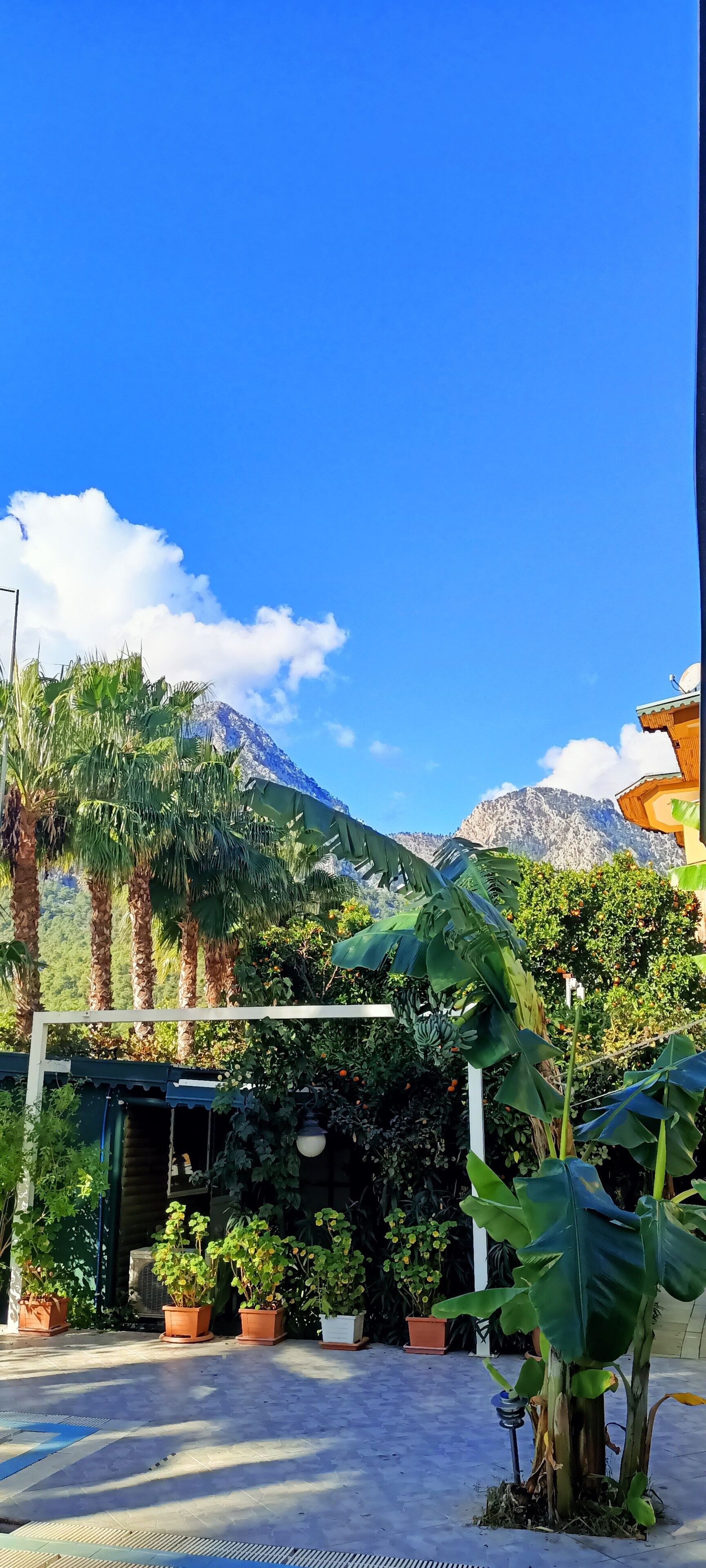 Santana Hotel