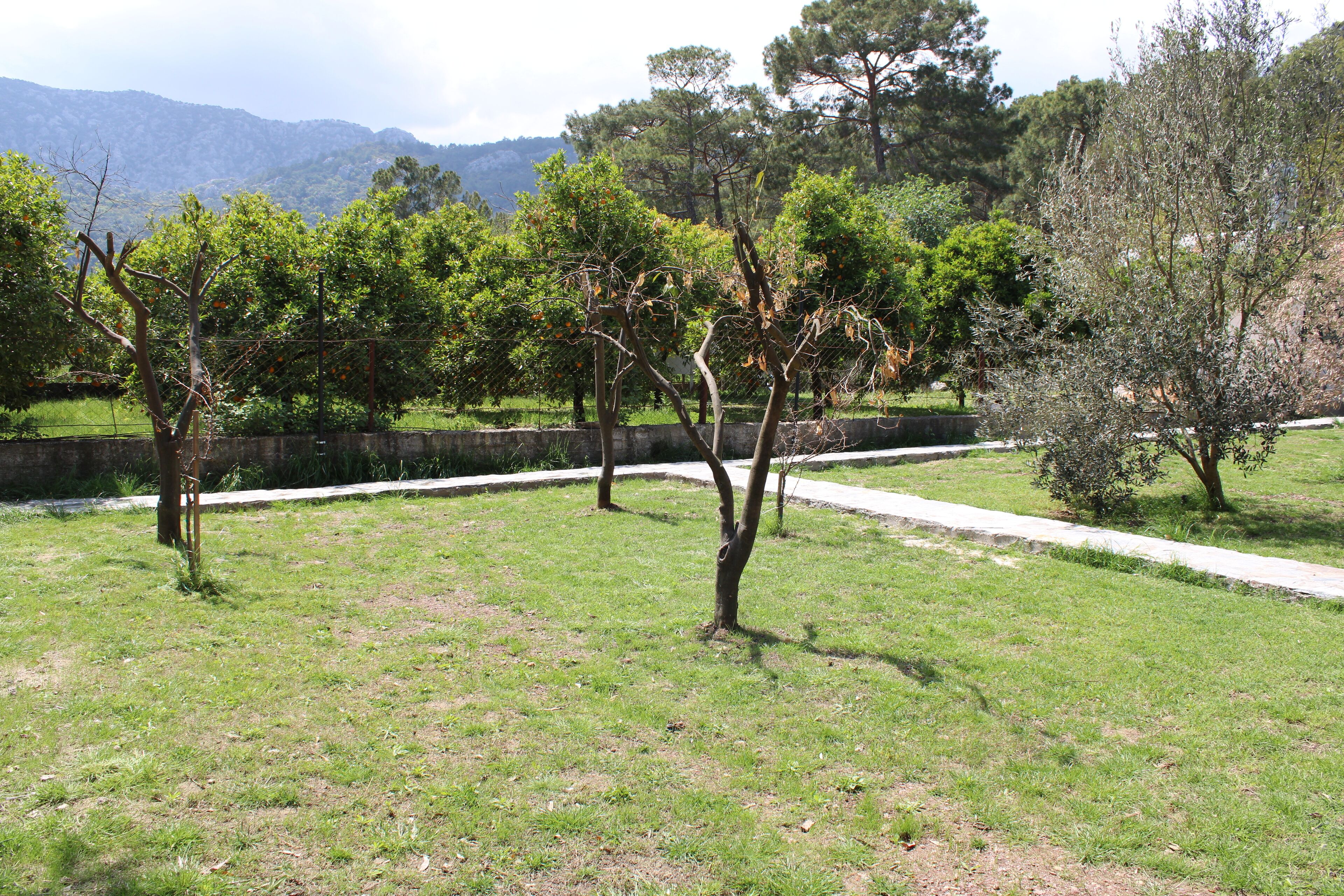 Seker bungalov