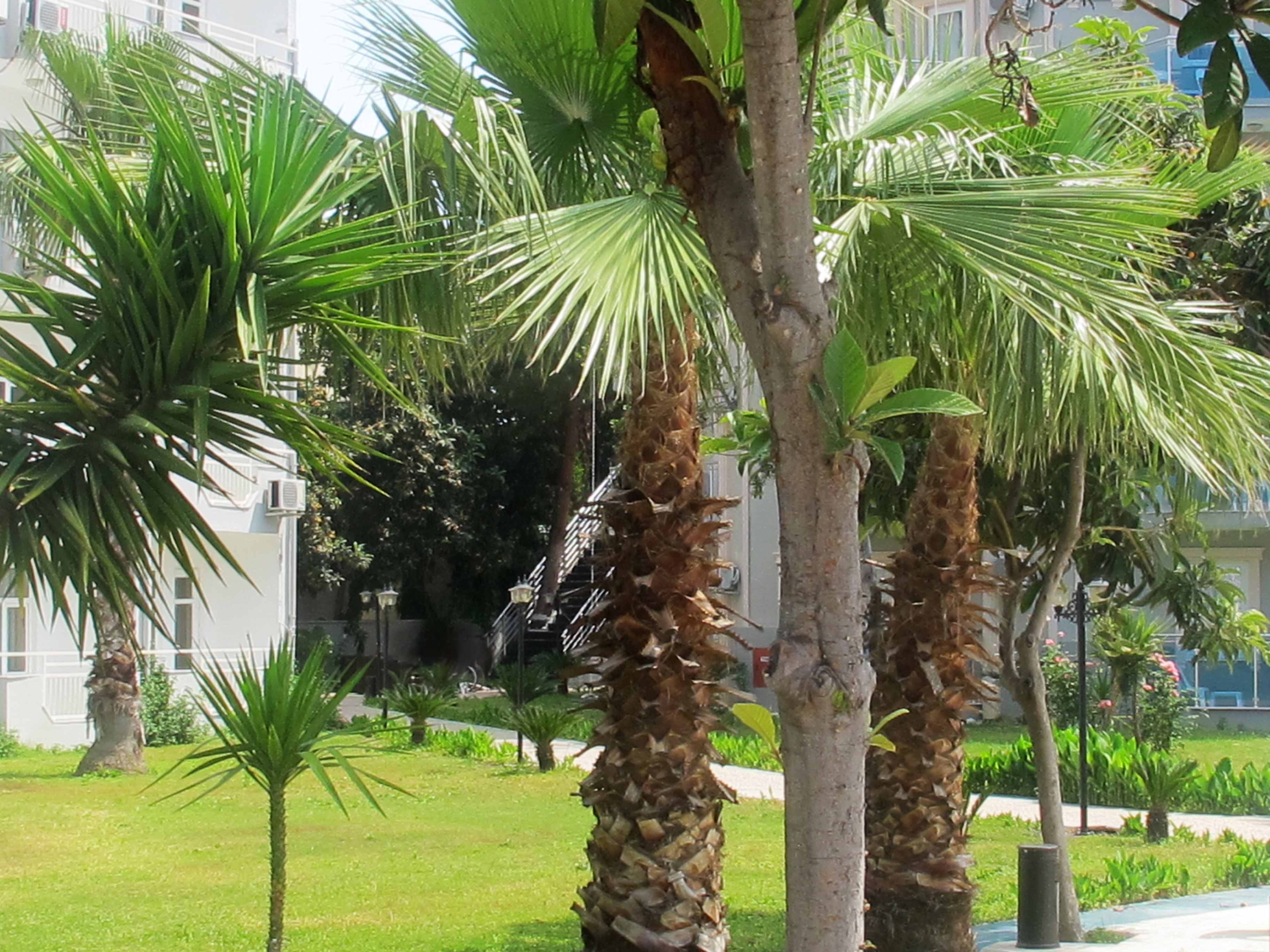 Rios Latte Beach Hotel