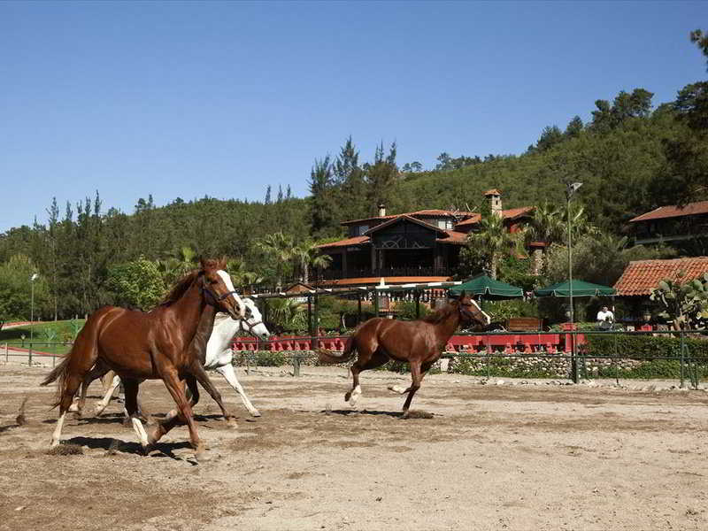 Hotel Berke Ranch & Nature