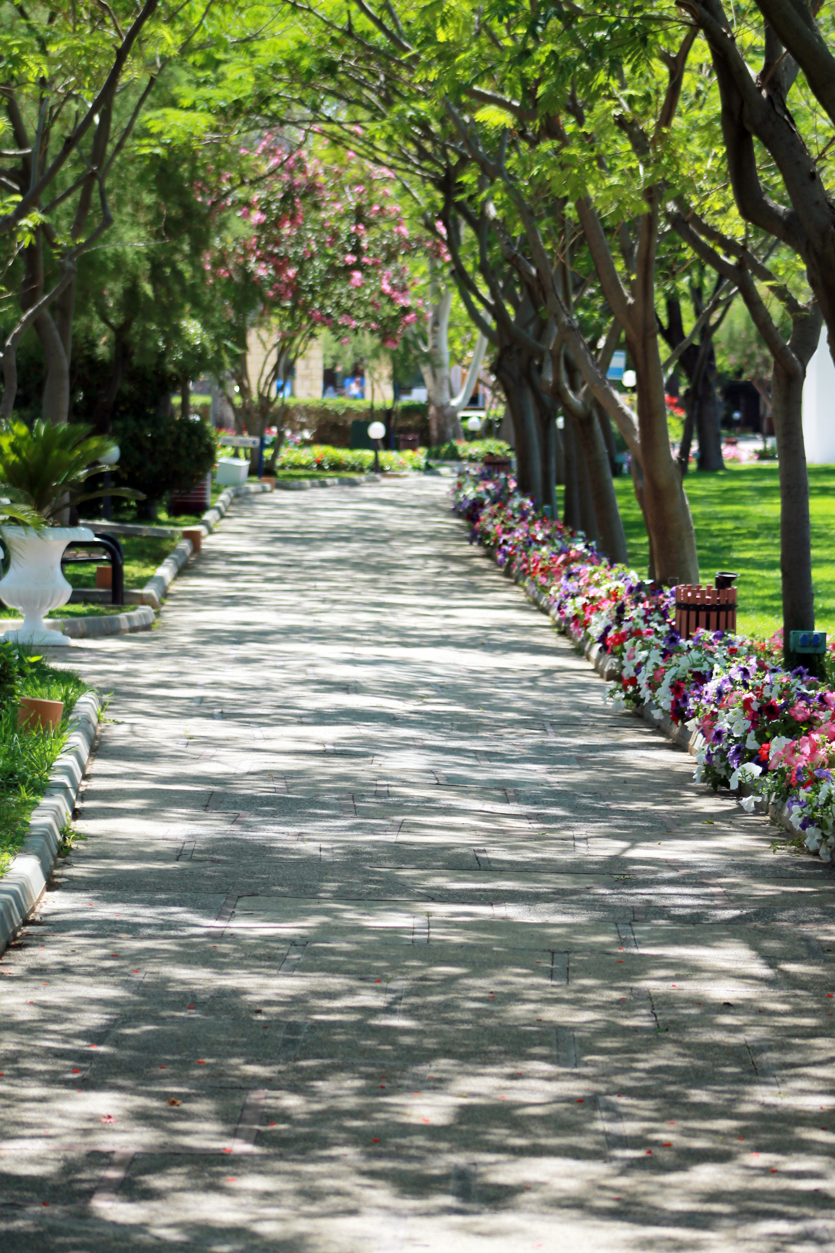 LABRANDA Alantur Resort