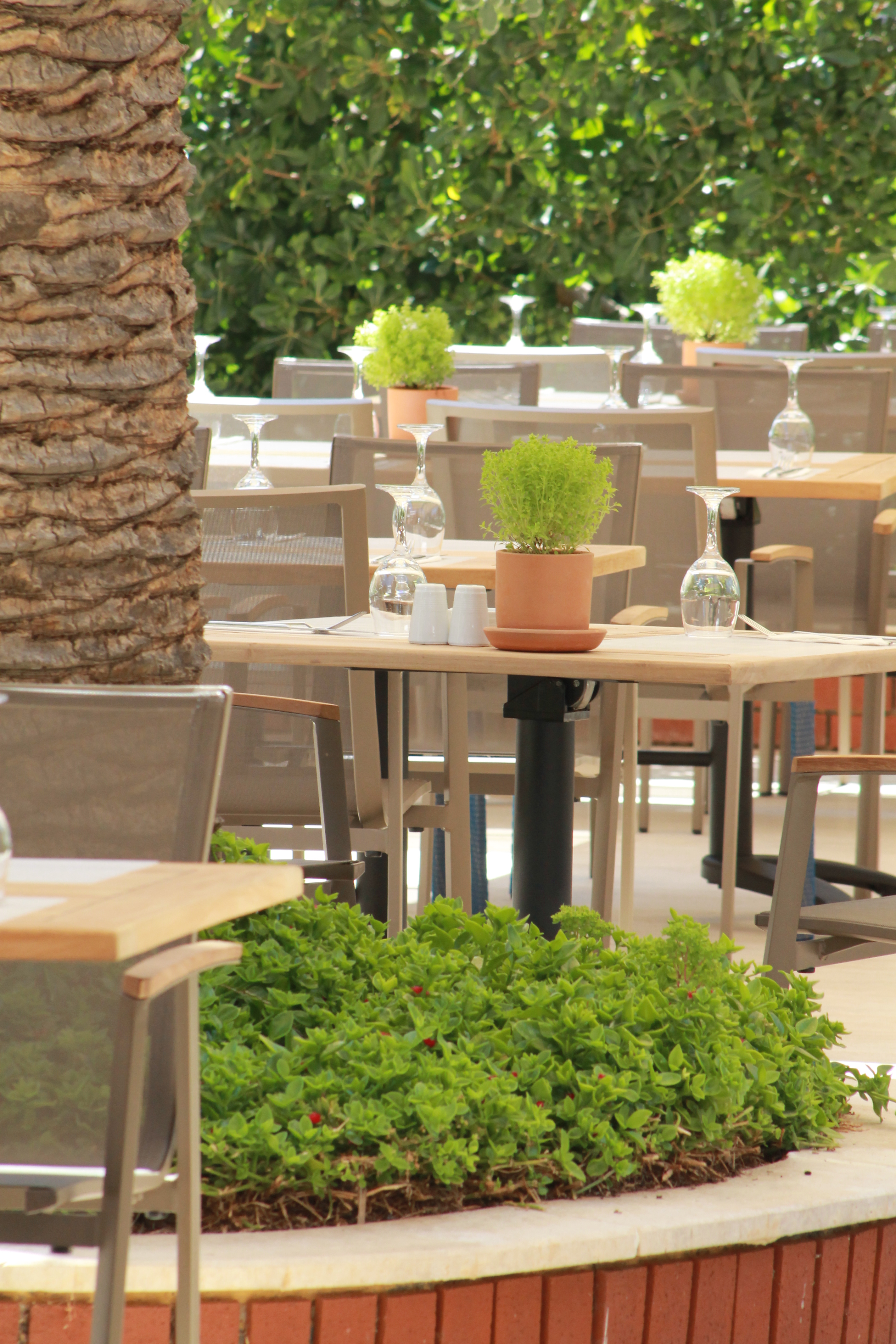 LABRANDA Alantur Resort