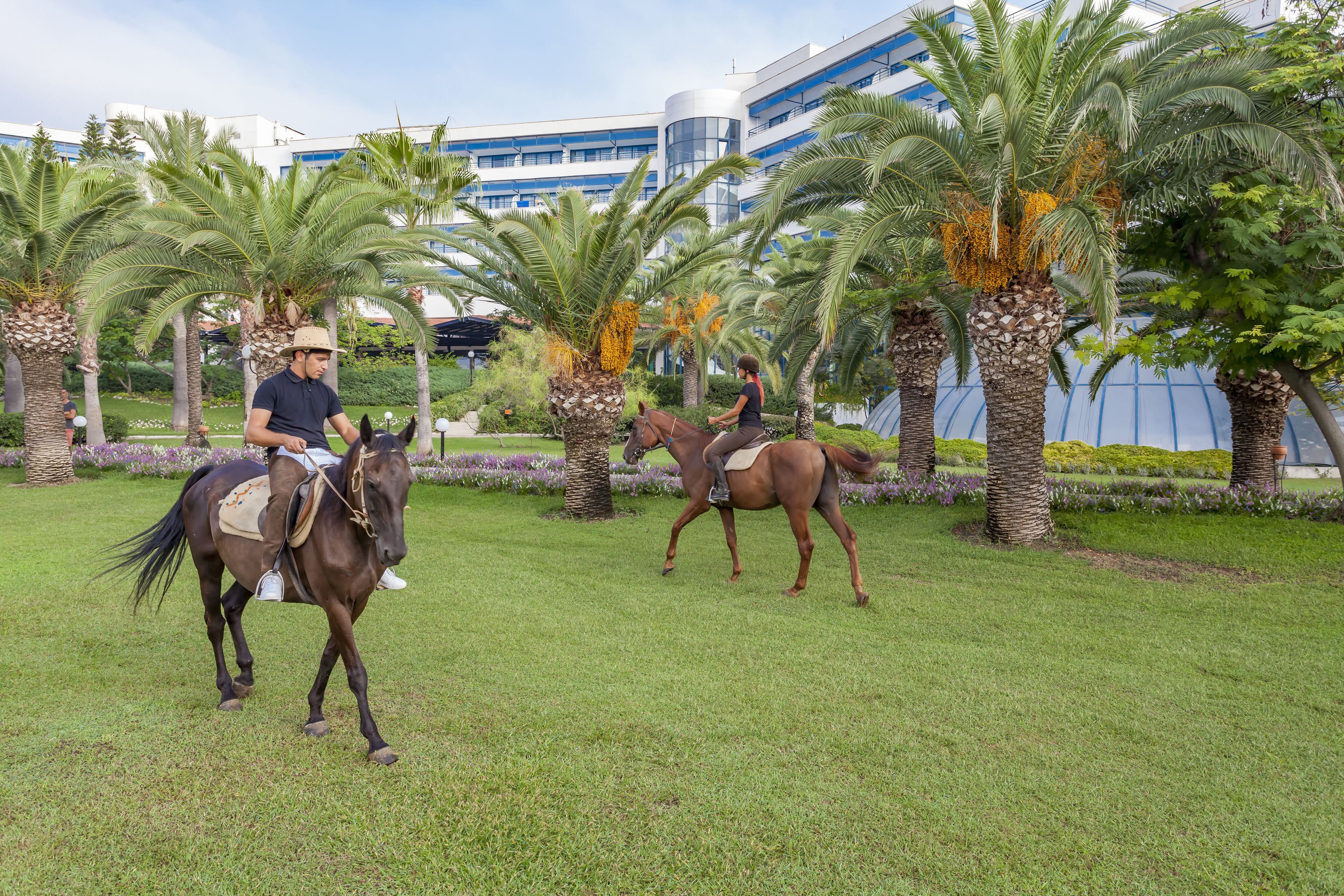 Starlight Resort Hotel