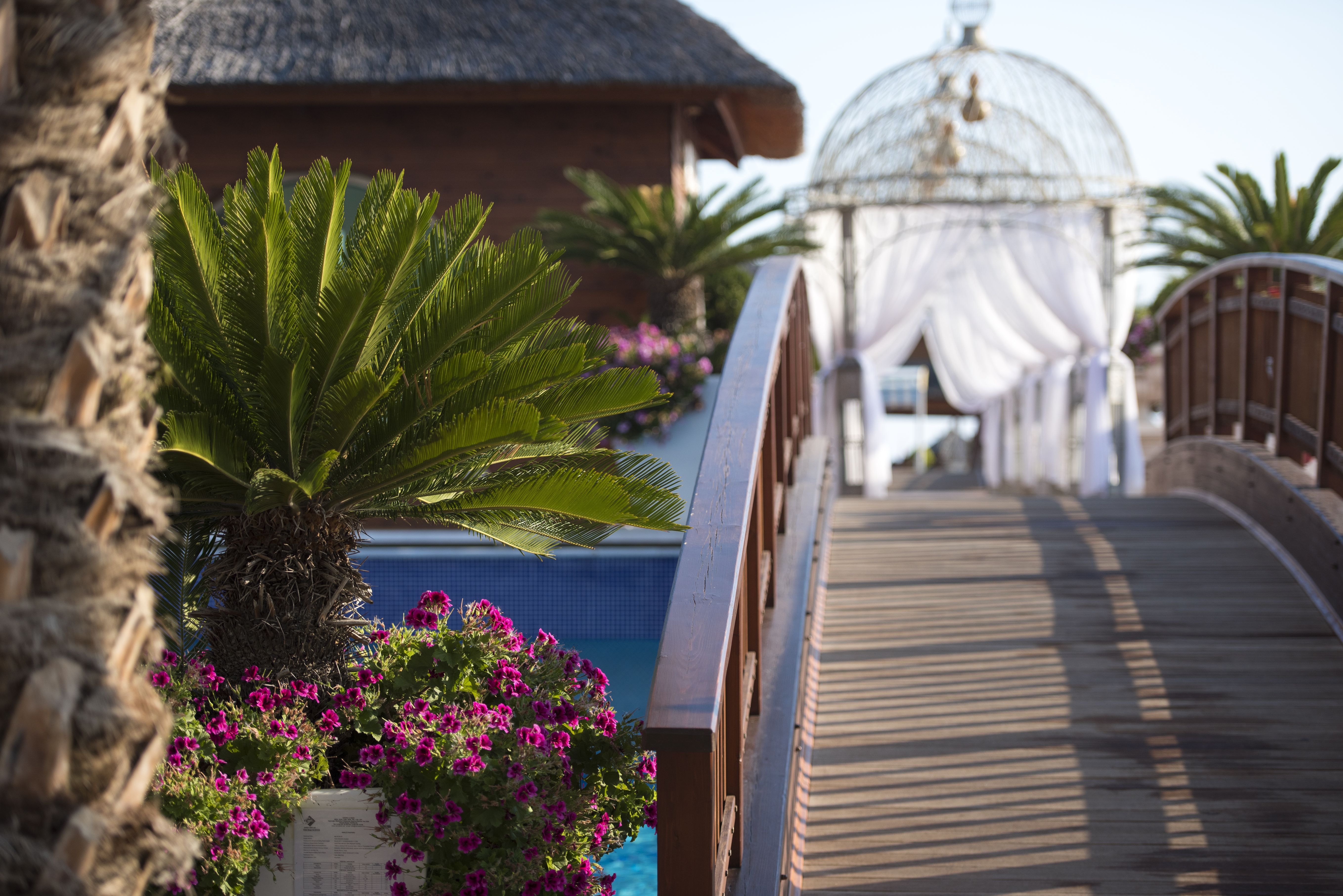 Quattro Beach Spa & Resort Hotel