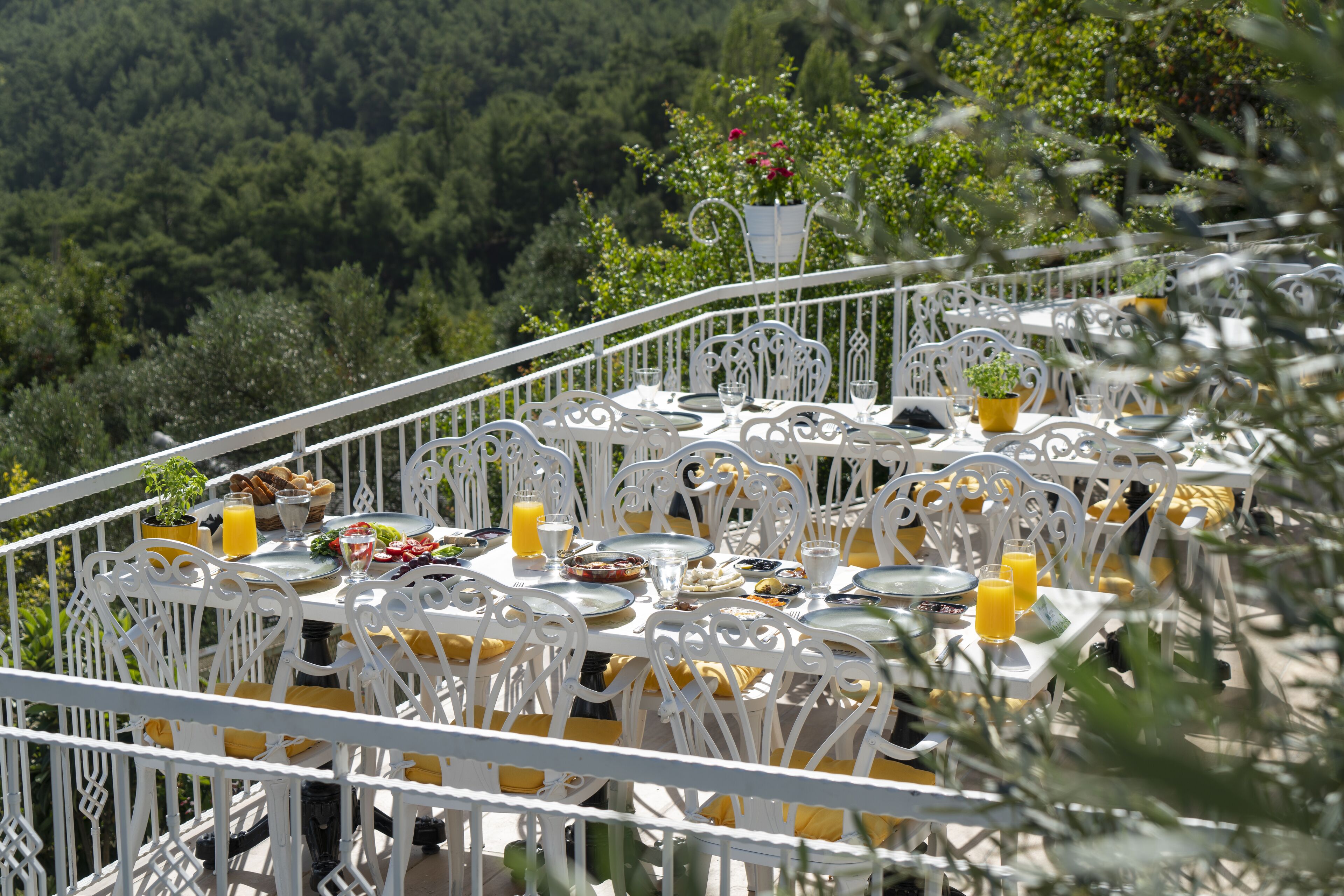 Apa Mountain Lodge