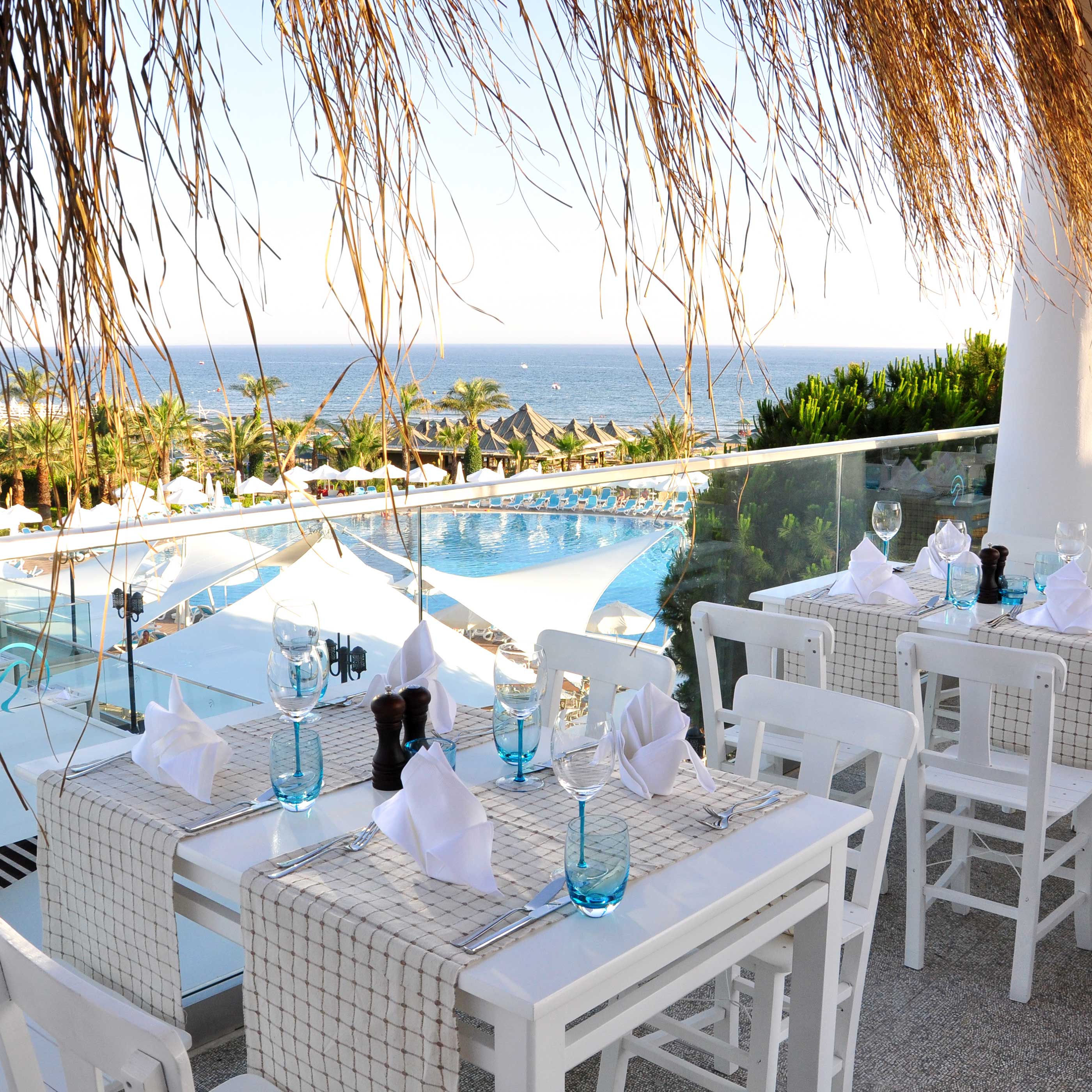 Paloma Oceana