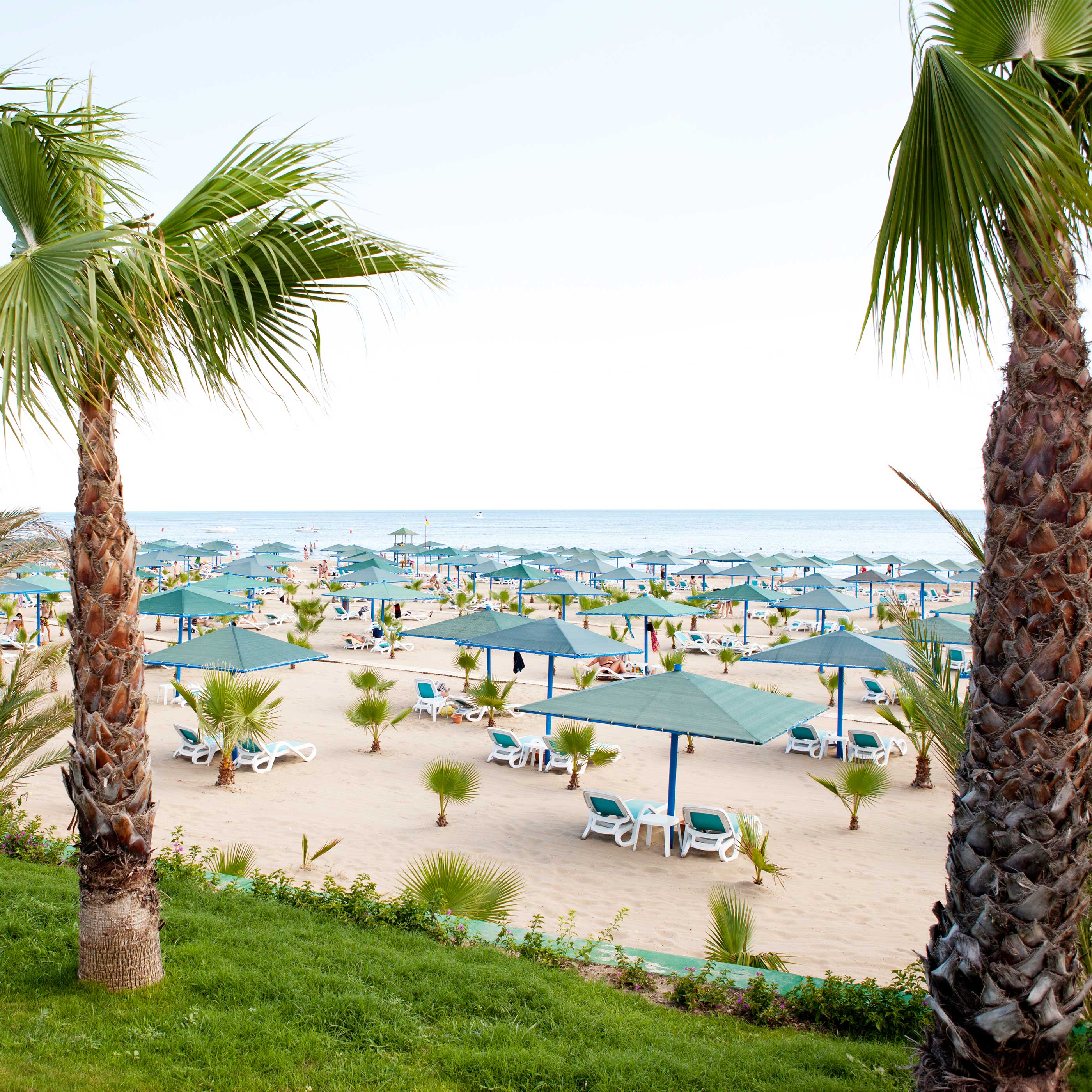 Paloma Oceana