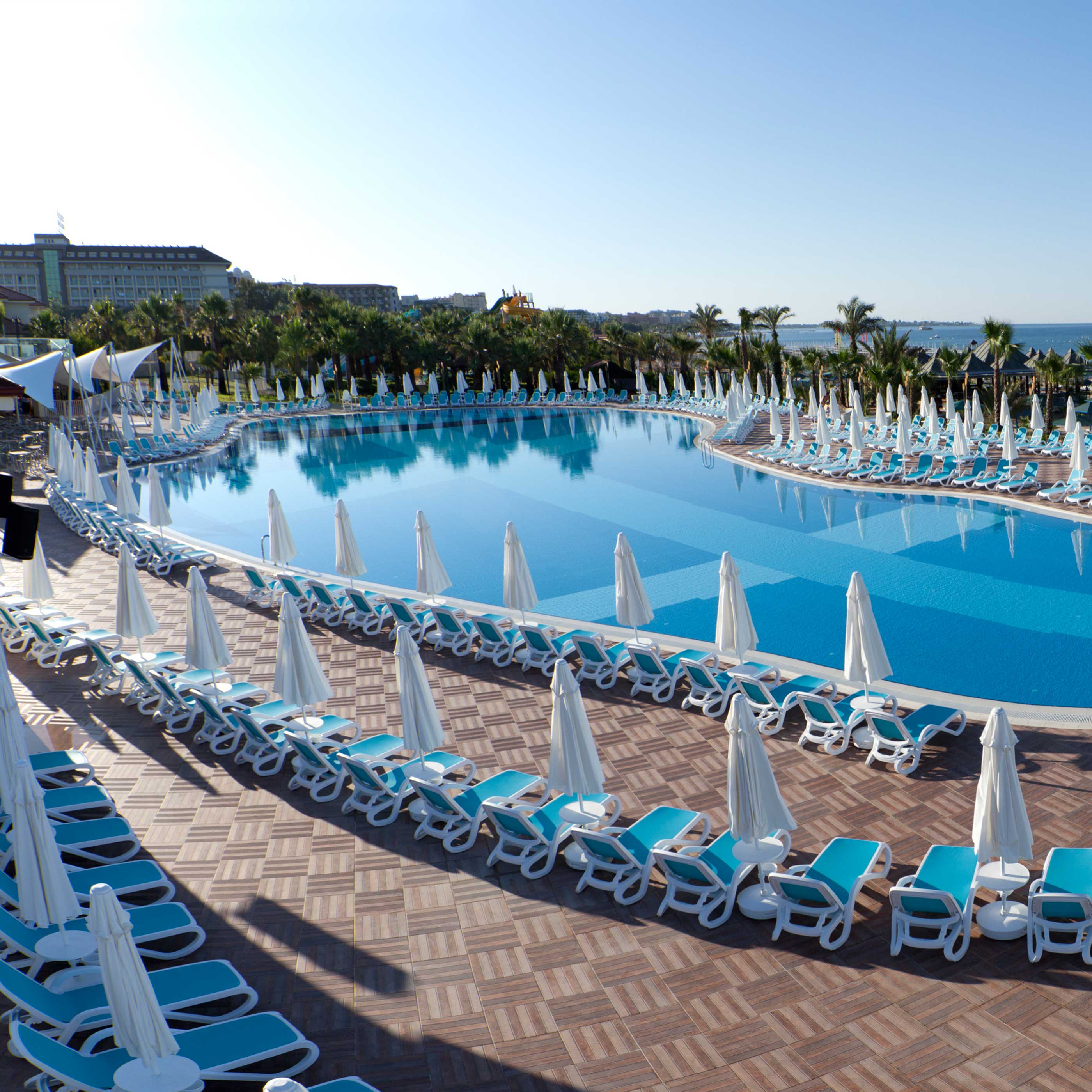 Paloma Oceana