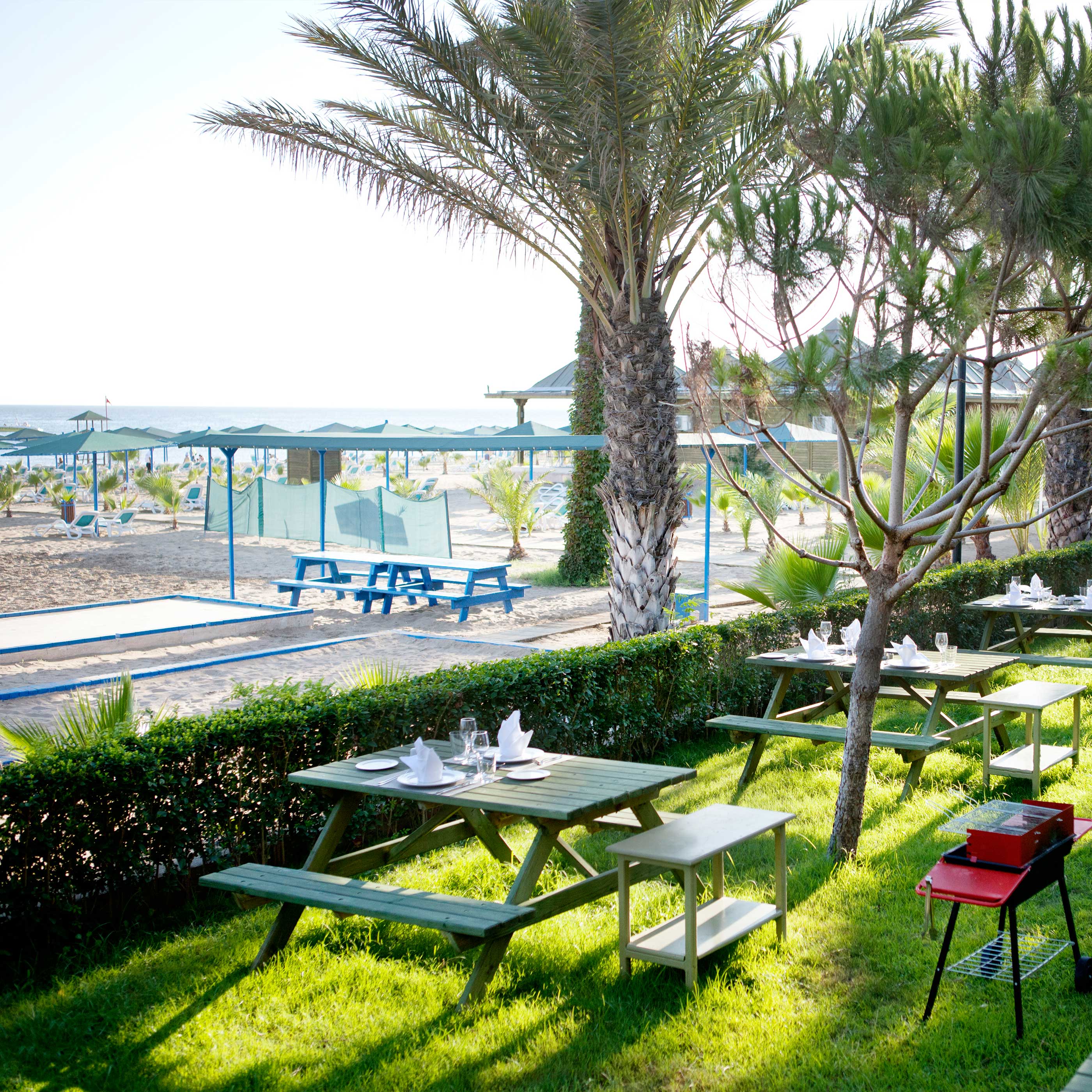Paloma Oceana