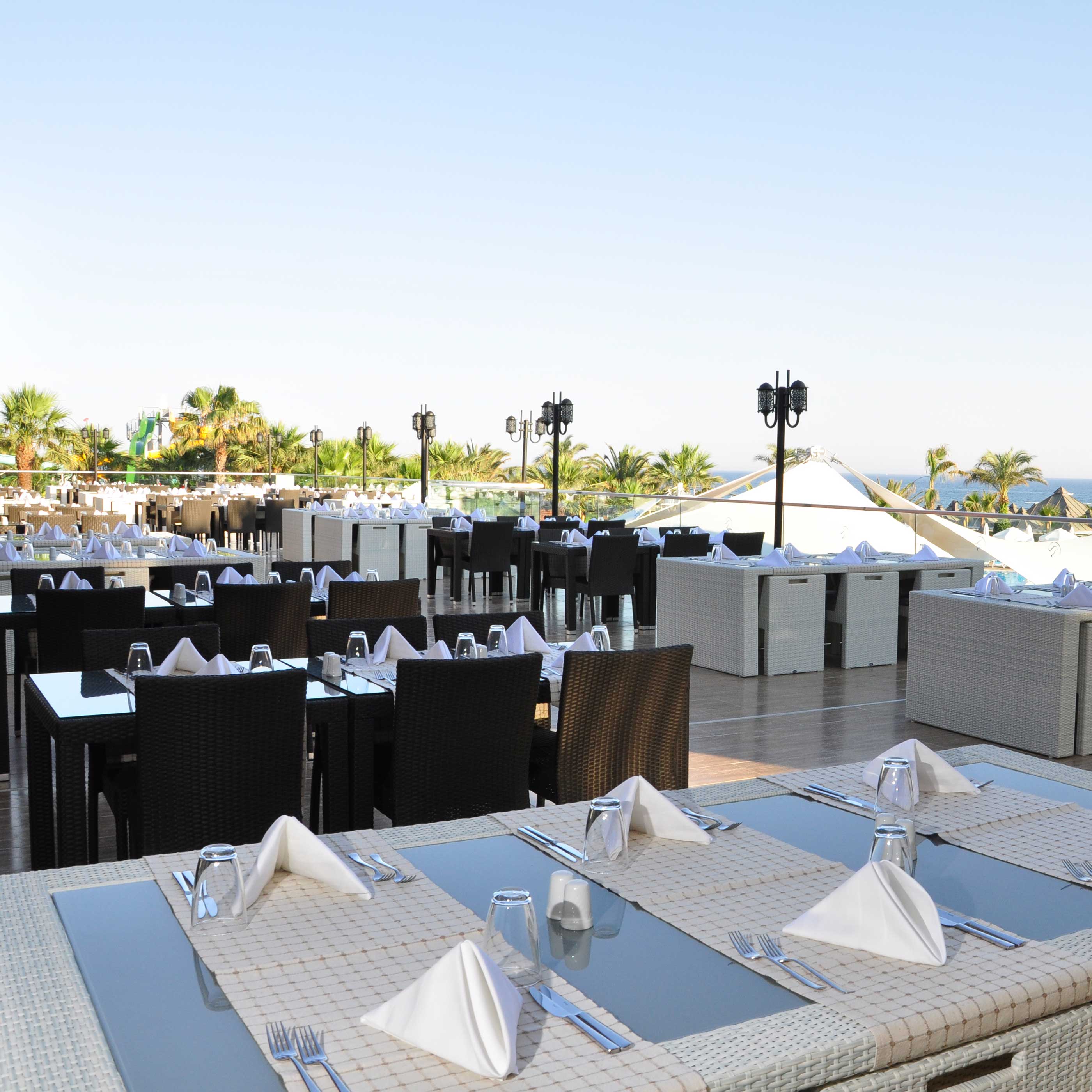 Paloma Oceana