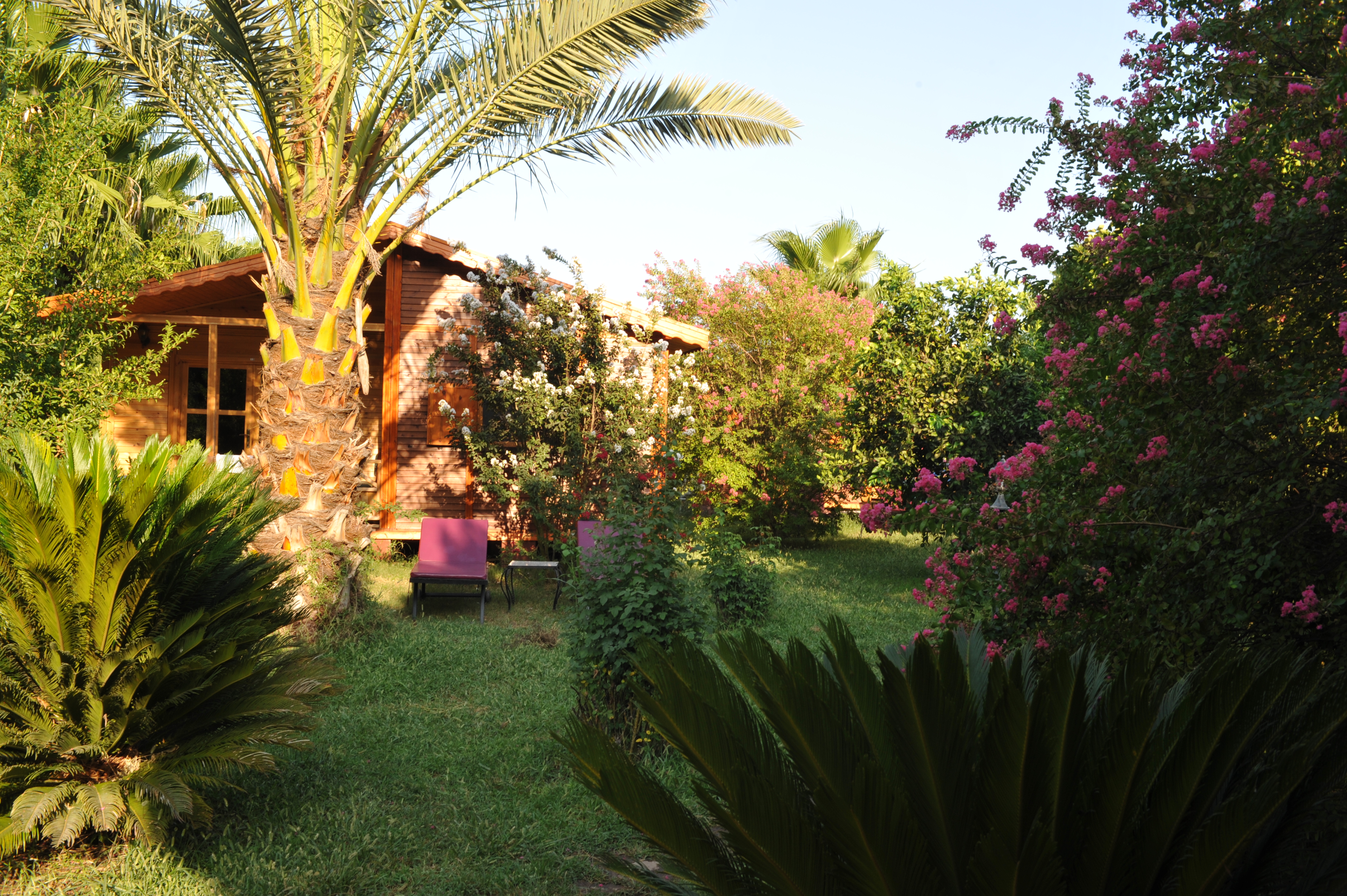 Anatolia Resort