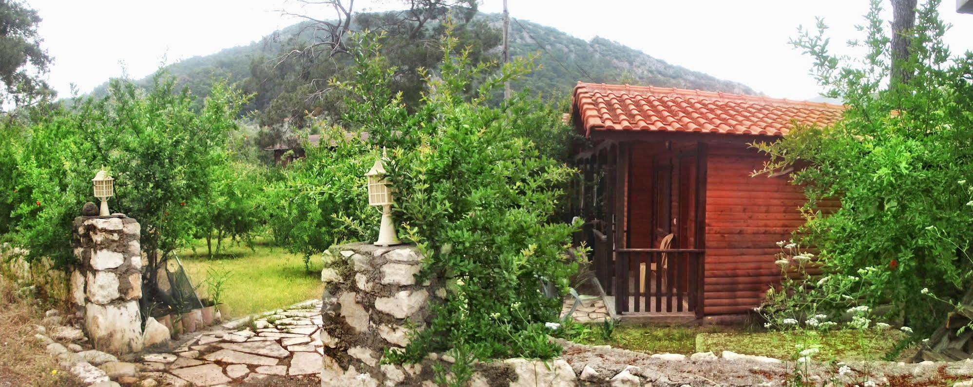 Koala Bungalows