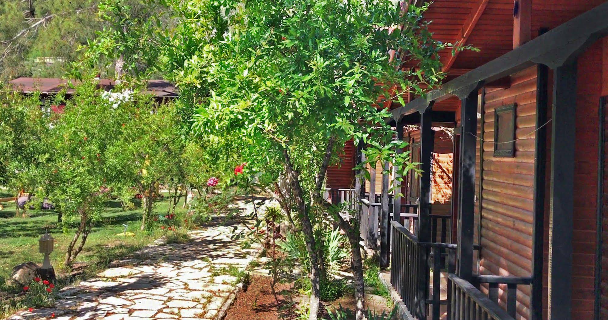 Koala Bungalows