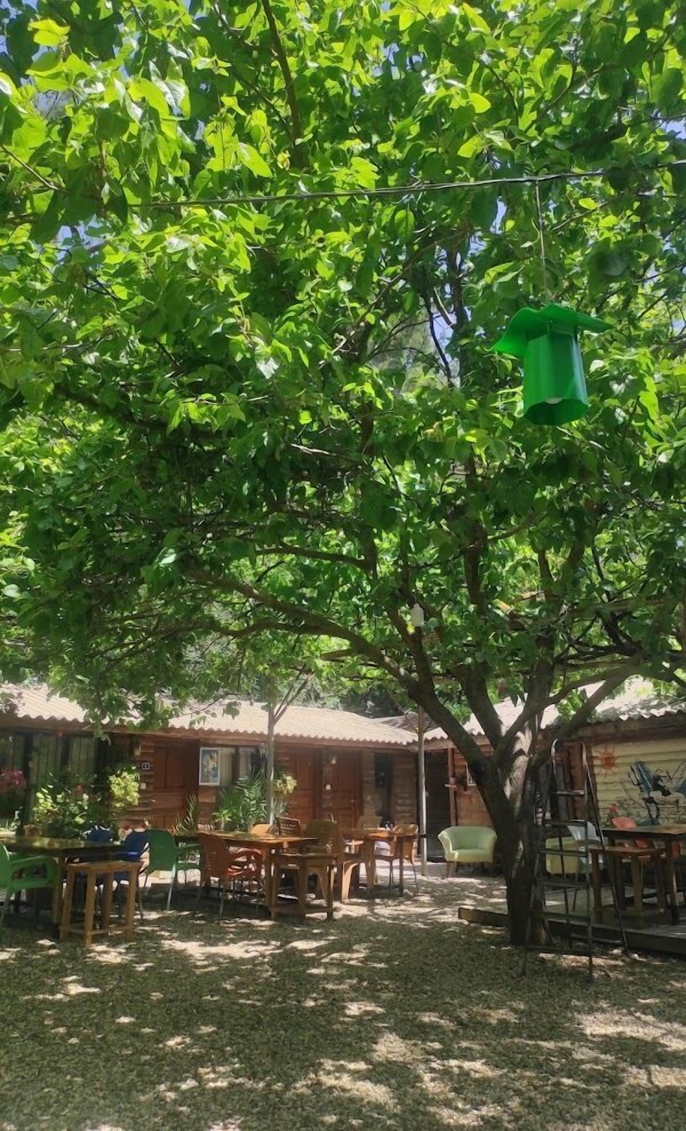 Olimpos Ada Bungalov