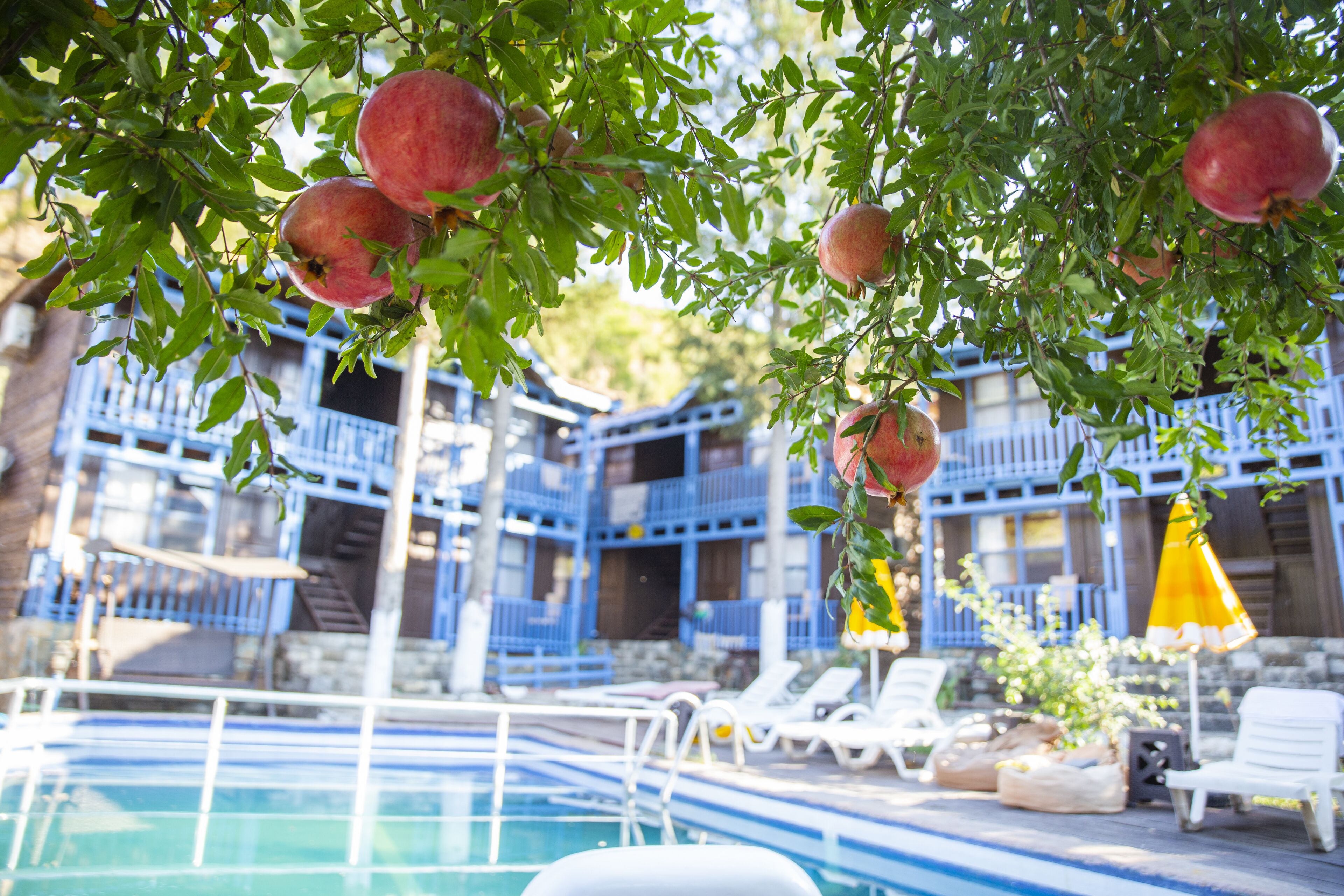 Olympos Cinar Hotel