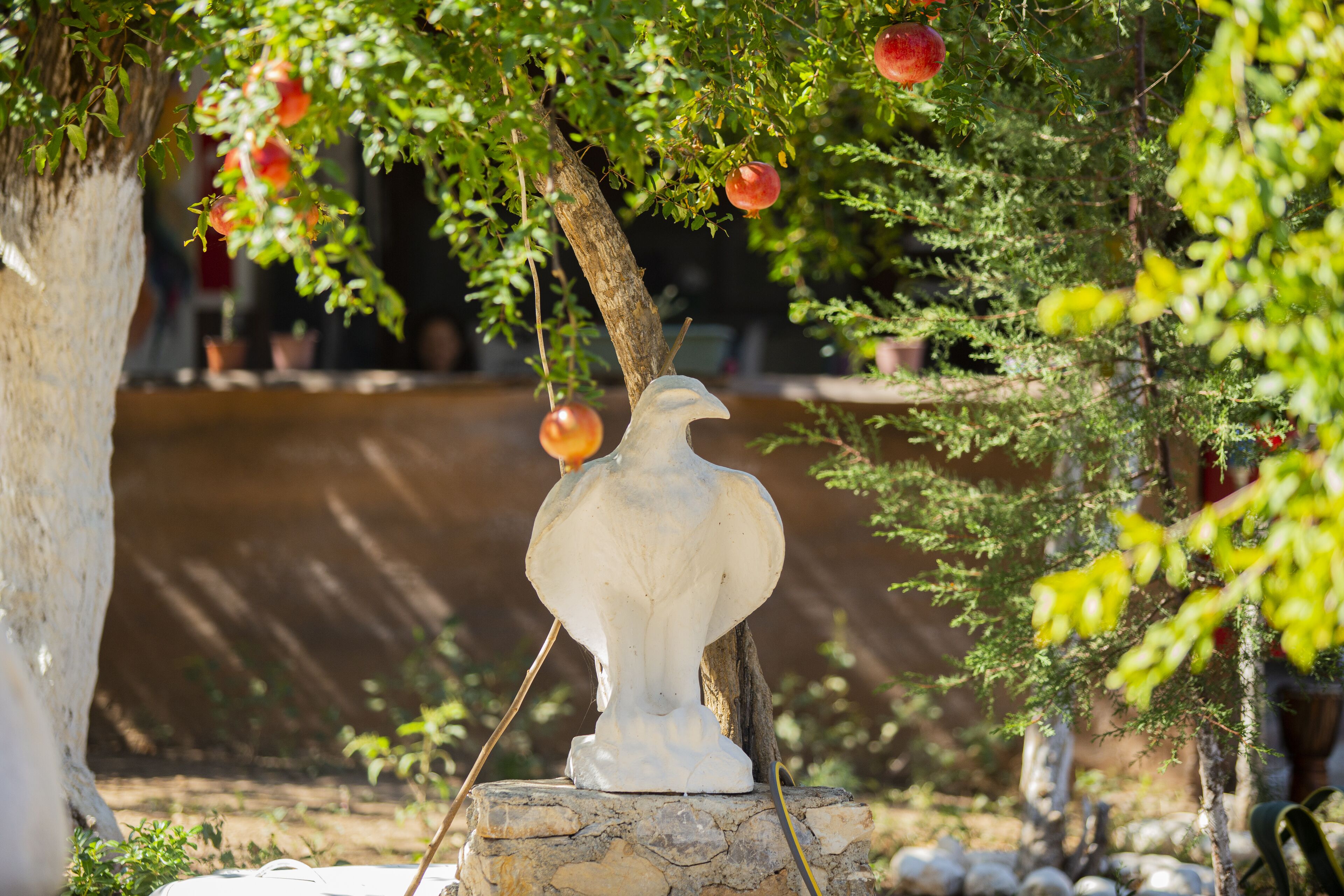 Olympos Cinar Hotel