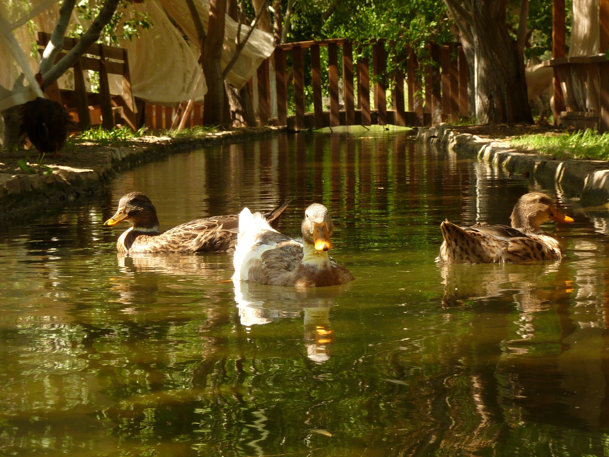 Olympos Mitos