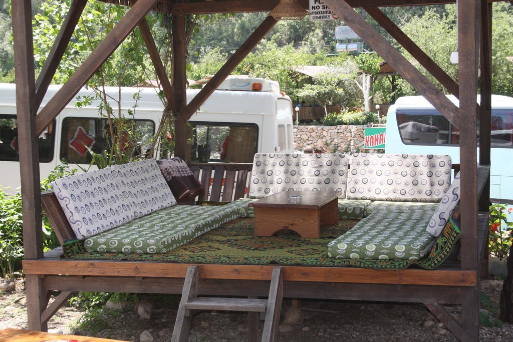 Saban Tree Houses