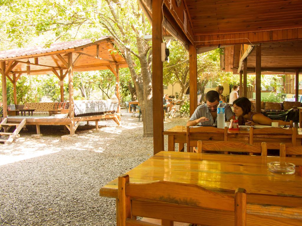 Saban Tree Houses