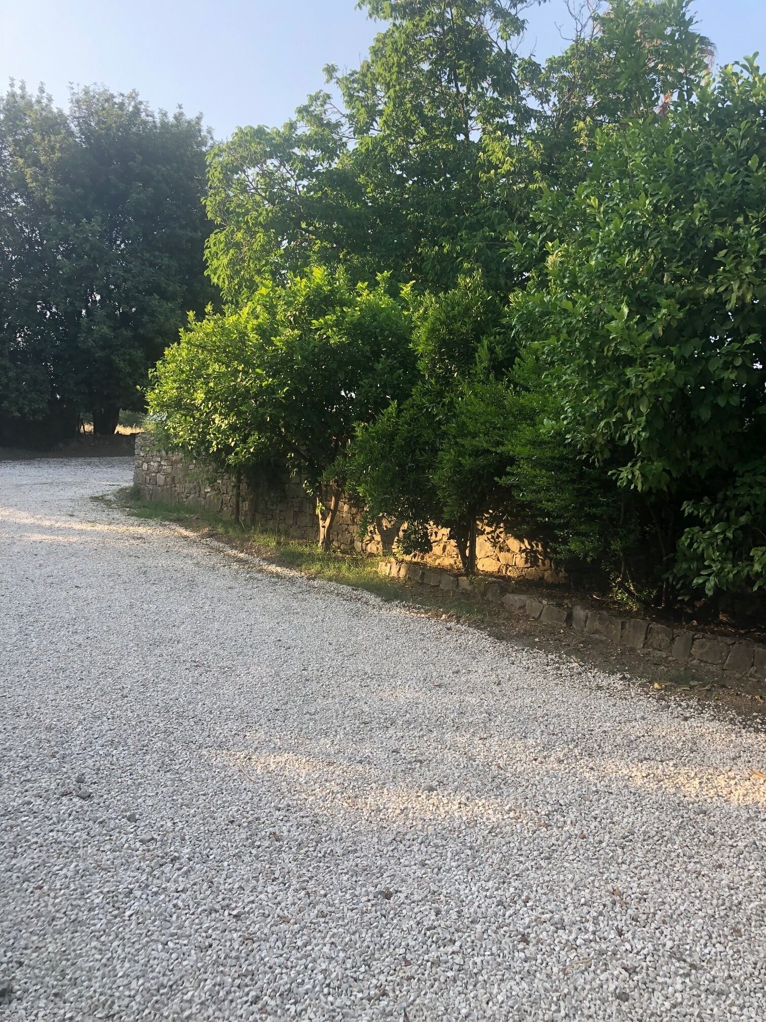 Ozgur Family House