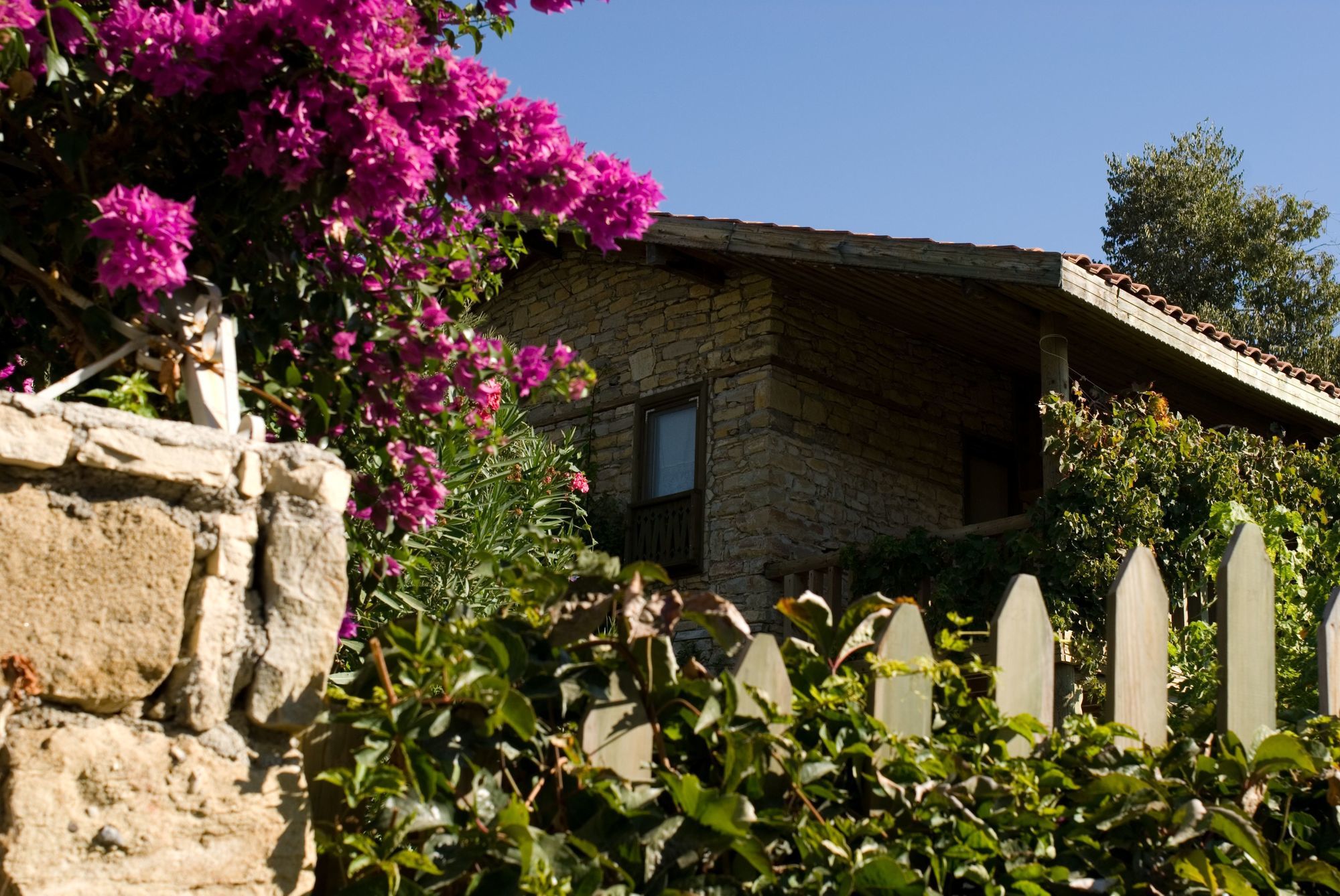 Seki Cottages