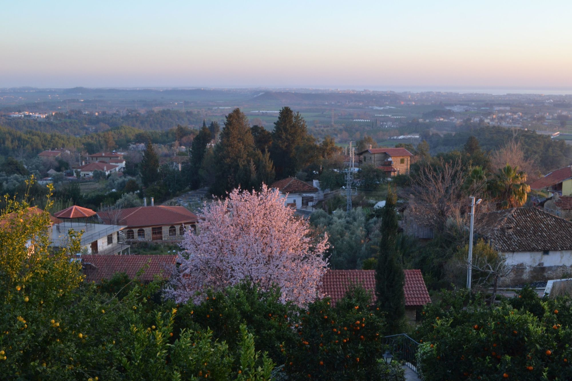 Seki Cottages