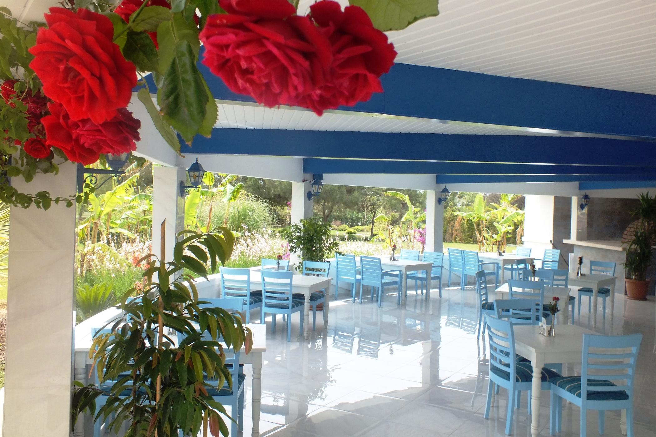 VONRESORT Elite